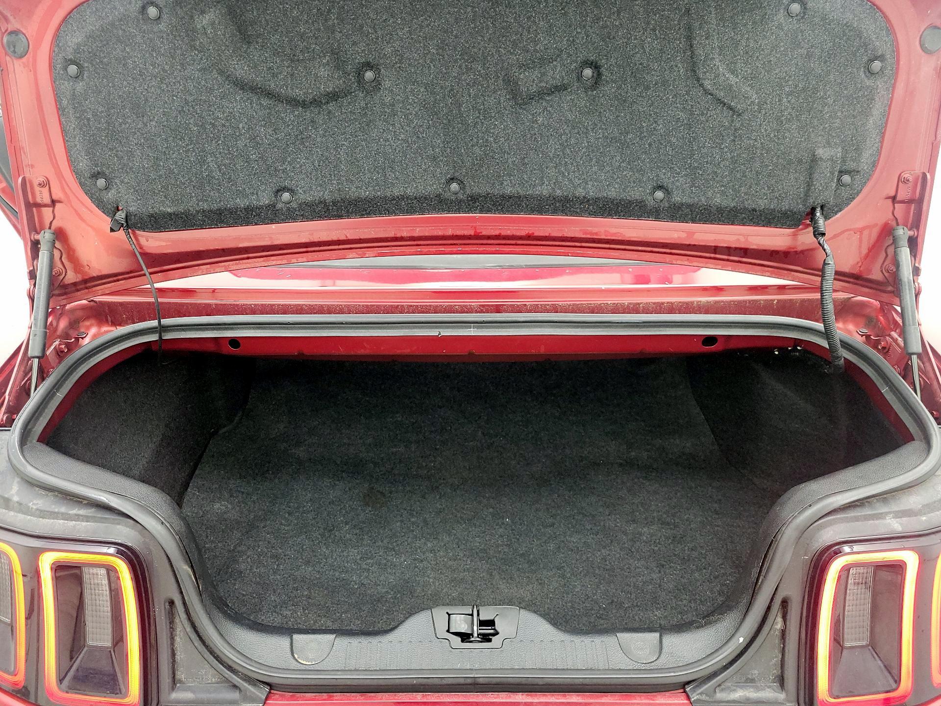 Thumbnail: 2014 Ford Mustang - 18