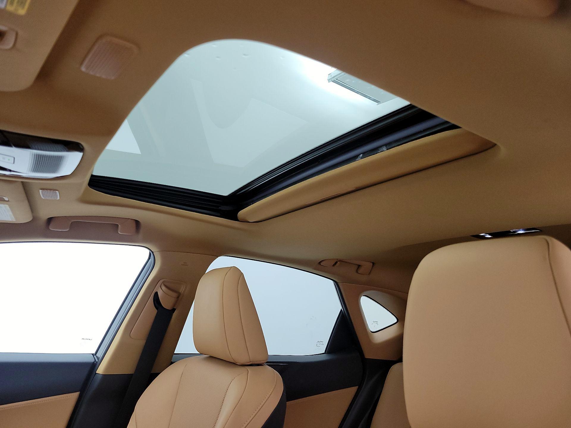 Thumbnail: 2025 Lexus NX - 19