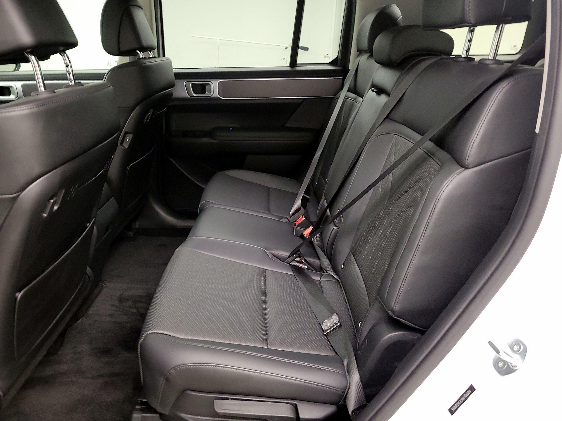 Thumbnail: 2025 Hyundai Santa Fe - 19