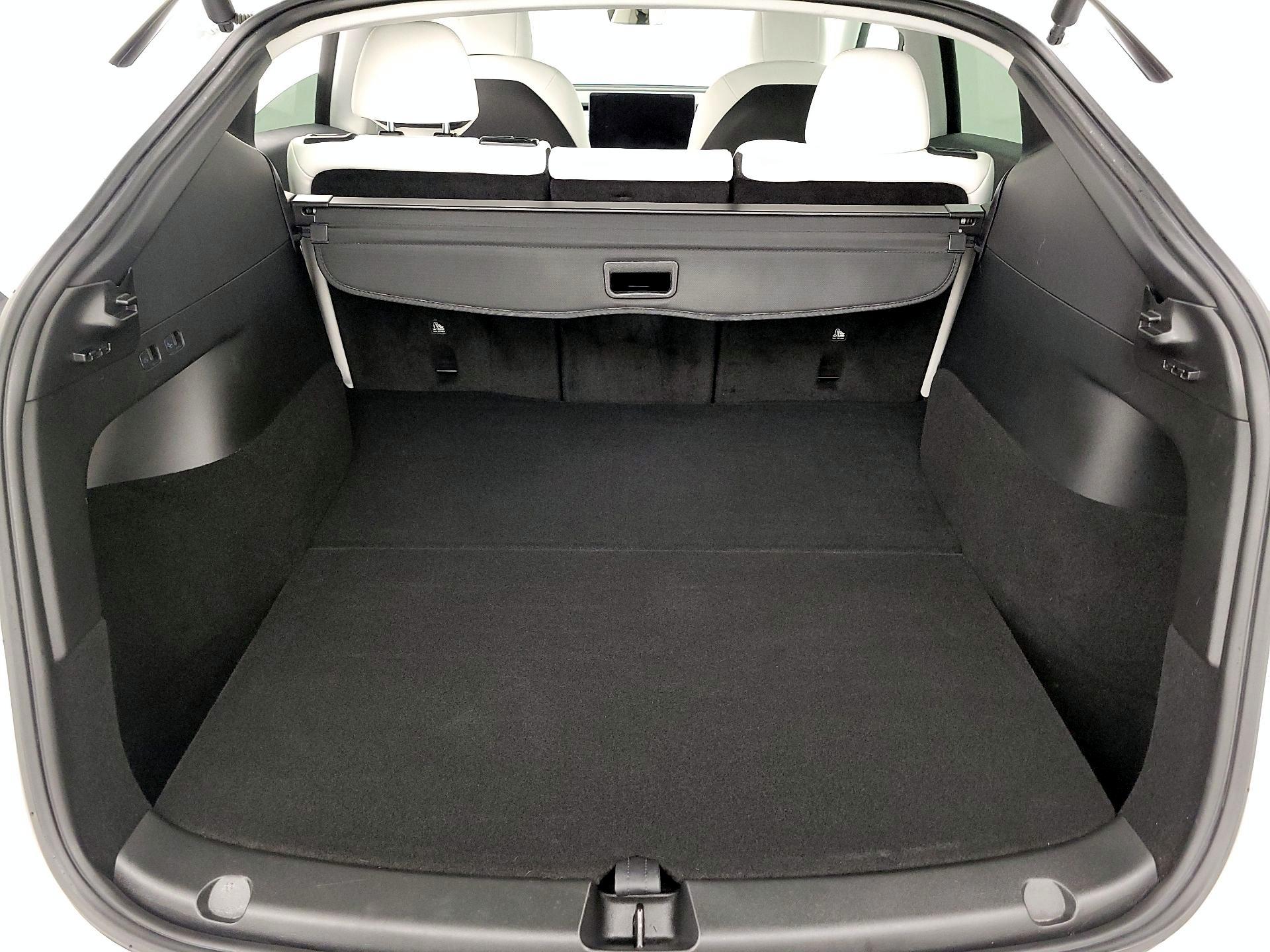 Thumbnail: 2021 Tesla Model Y - 20