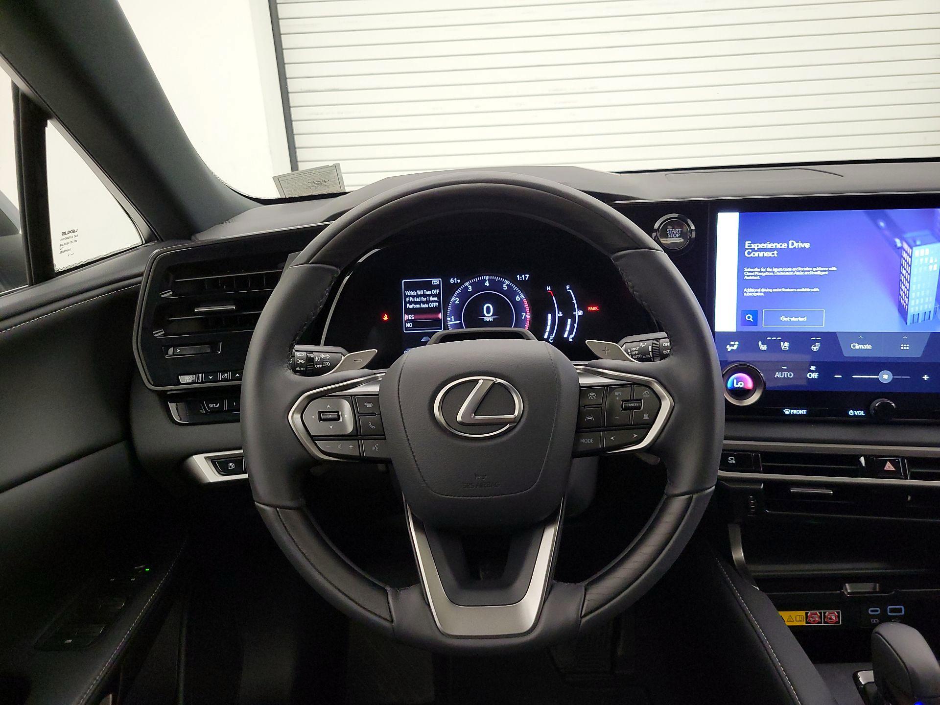 Thumbnail: 2024 Lexus RX - 10