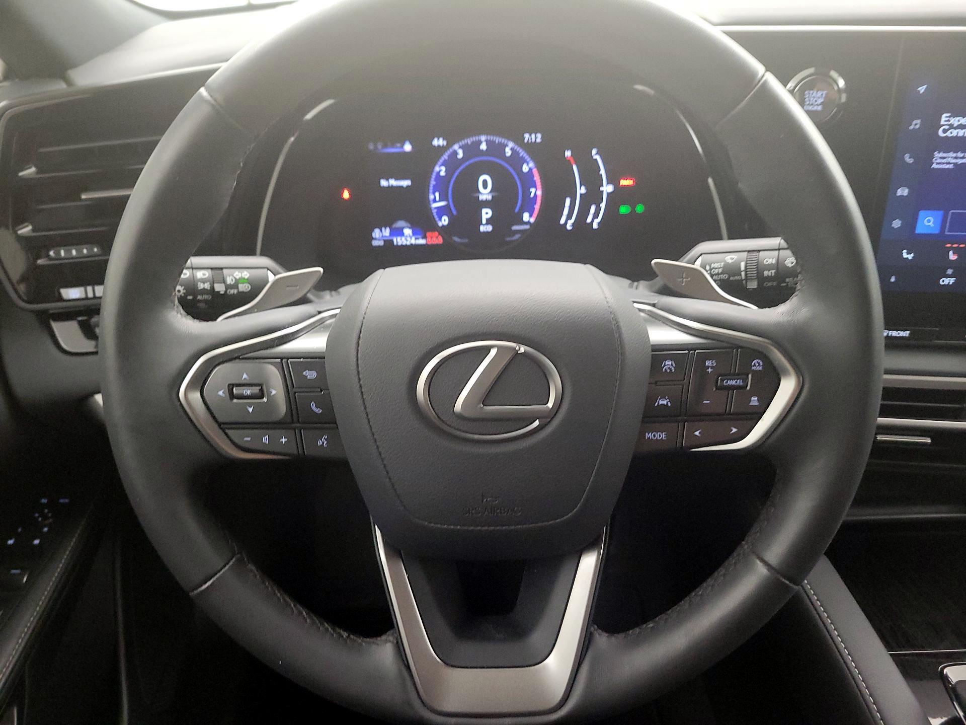 Thumbnail: 2024 Lexus RX - 10