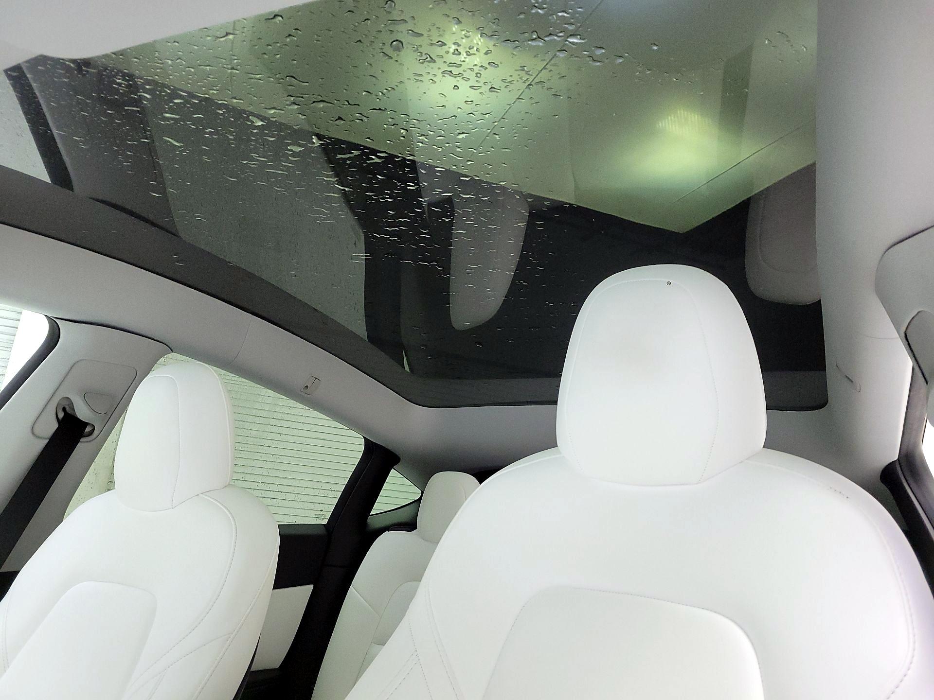 Thumbnail: 2021 Tesla Model Y - 17