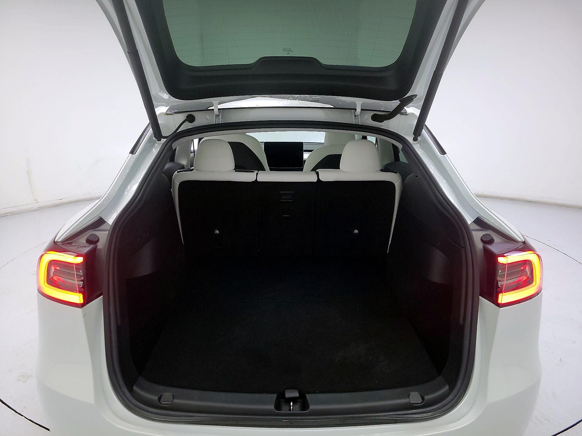 Thumbnail: 2021 Tesla Model Y - 19