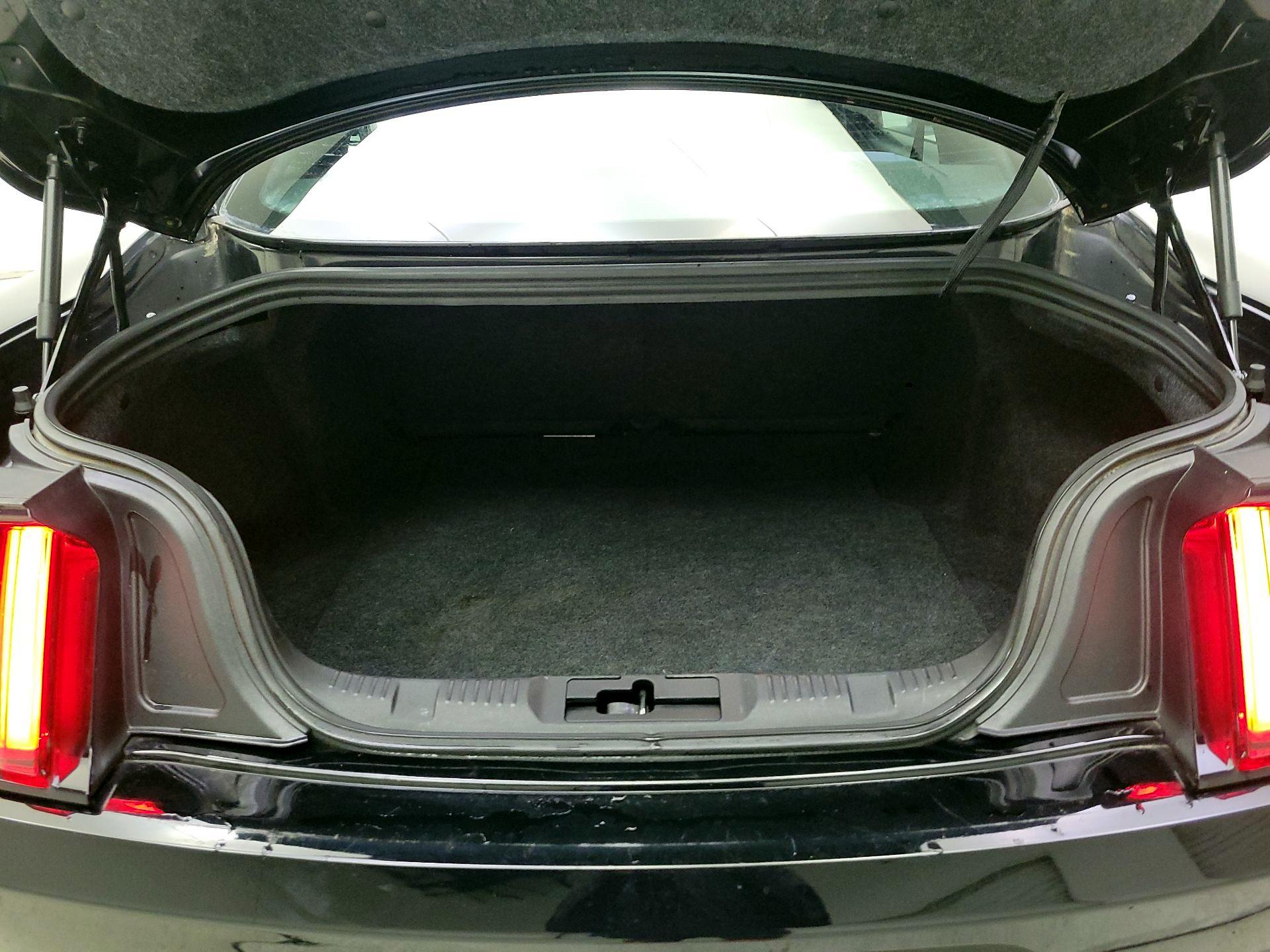 Thumbnail: 2015 Ford Mustang - 19