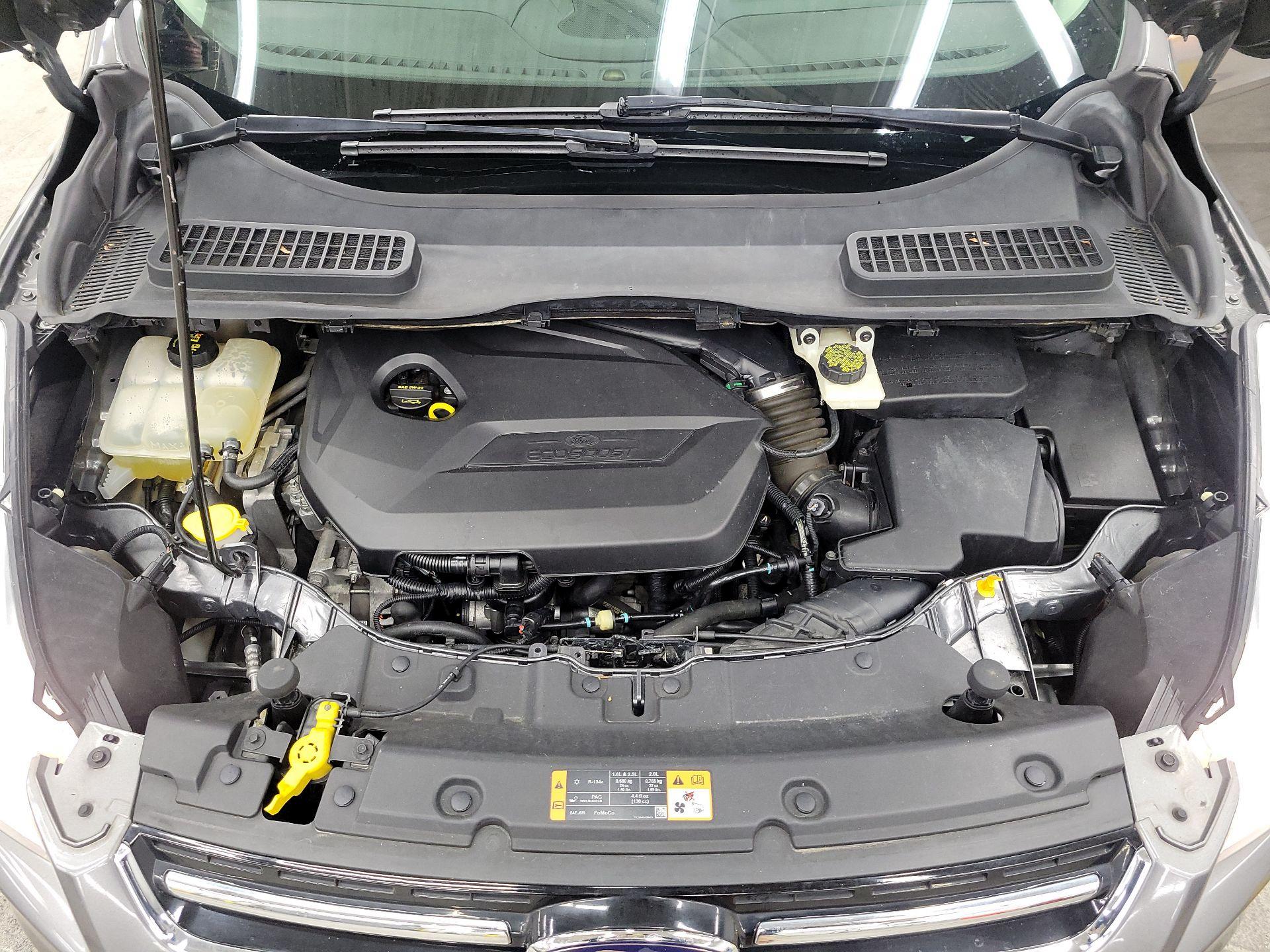 Thumbnail: 2014 Ford Escape - 19