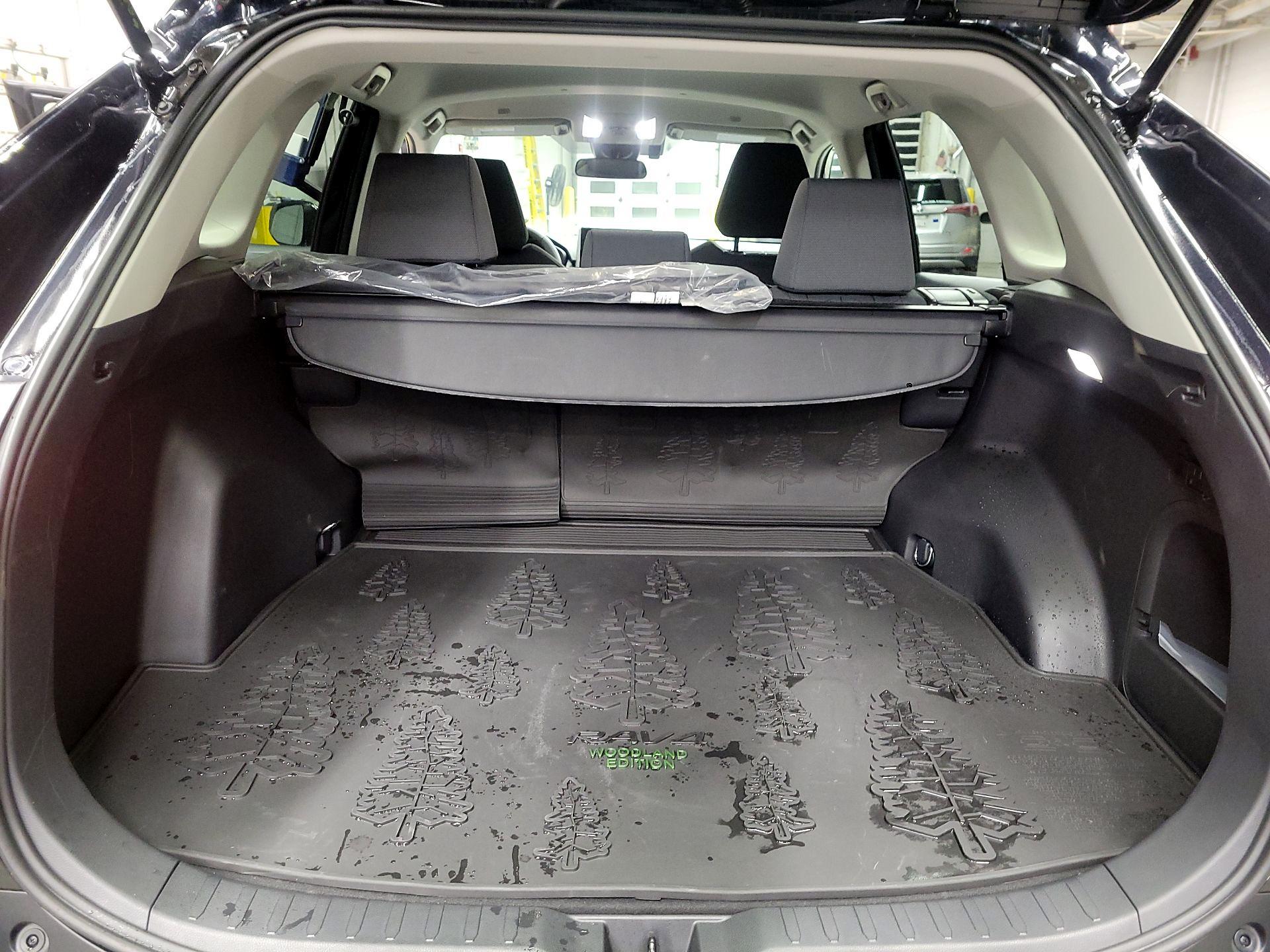 Thumbnail: 2025 Toyota RAV4 - 18