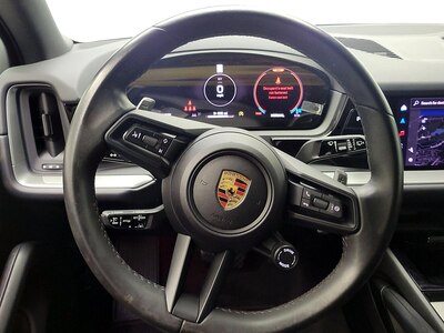 Steering Wheel & Instrument Cluster (On)