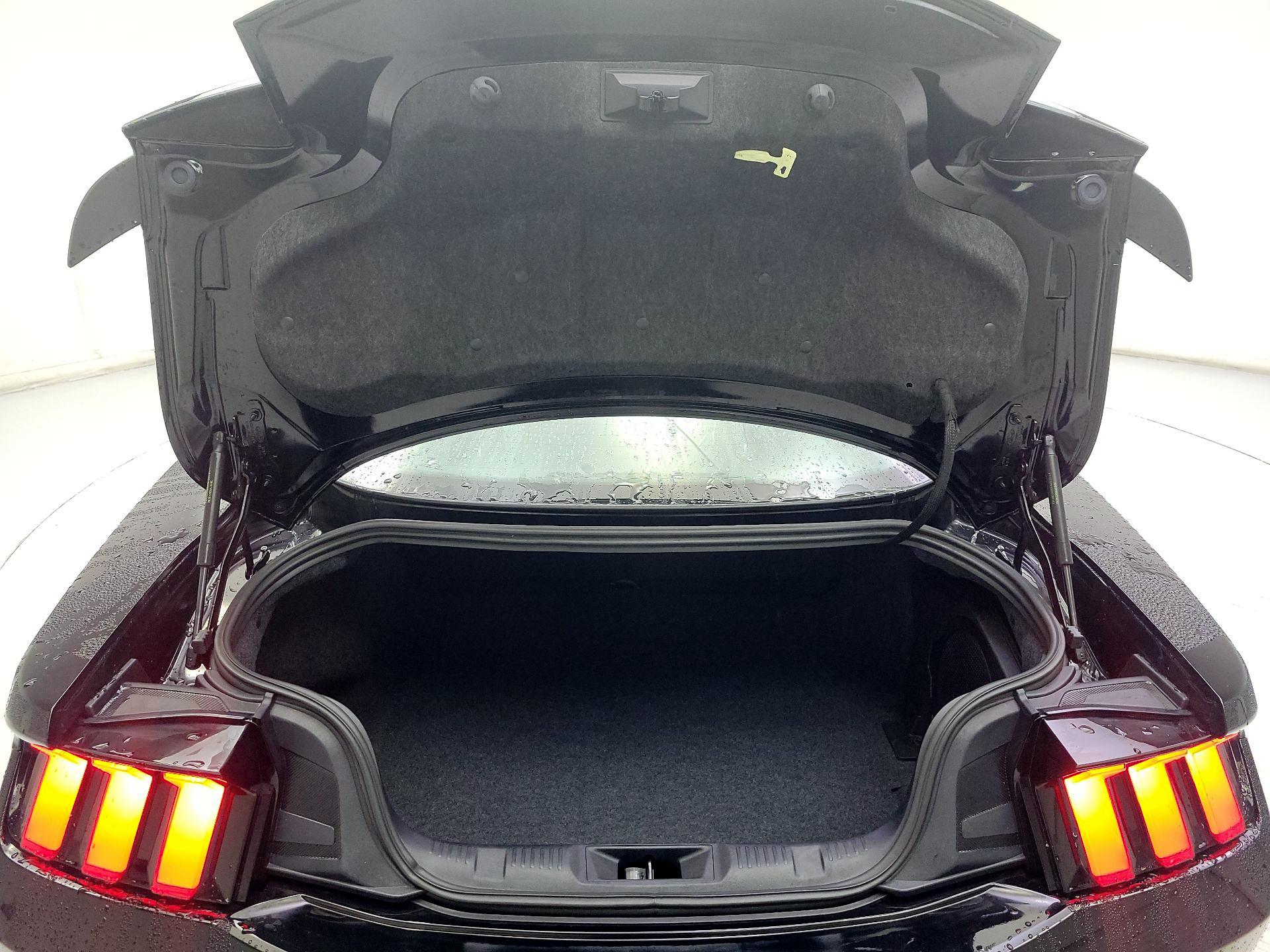 Thumbnail: 2025 Ford Mustang - 19