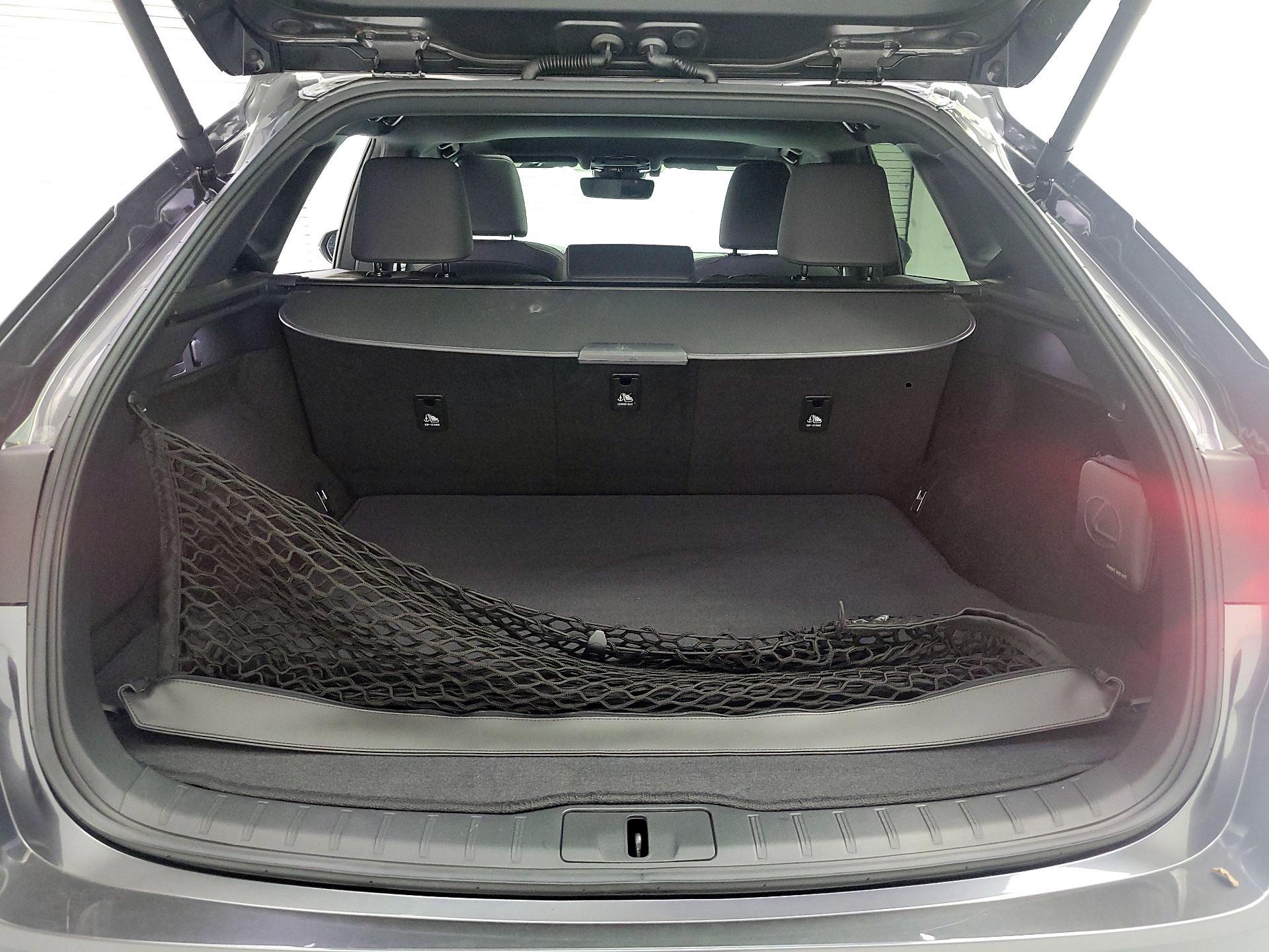 Thumbnail: 2024 Lexus RX - 19