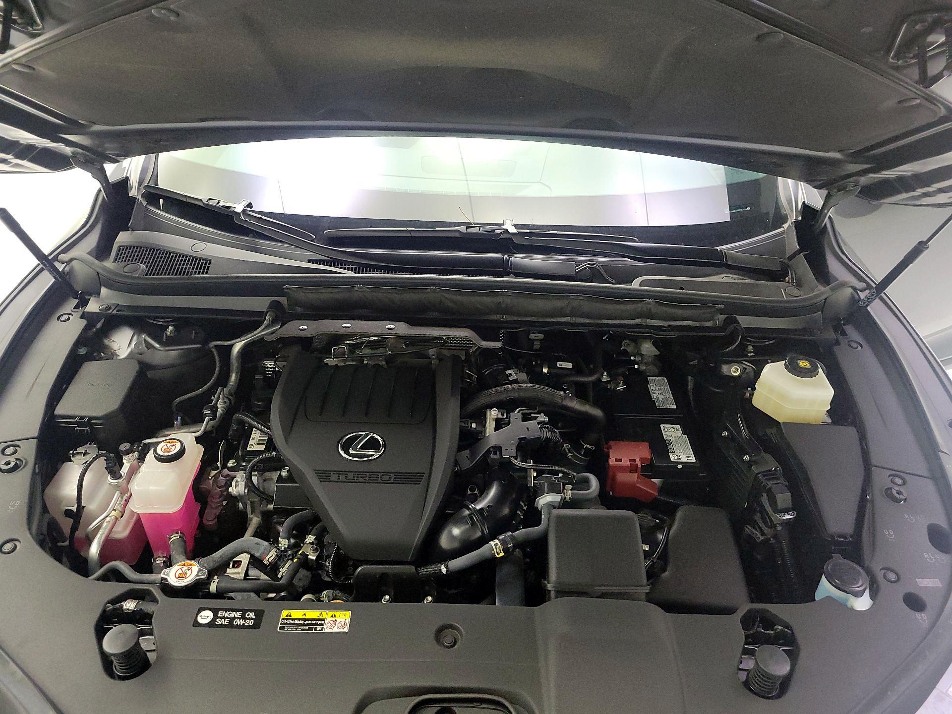 Thumbnail: 2024 Lexus RX - 20