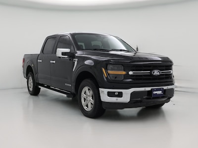 2024 Ford F150 XLT