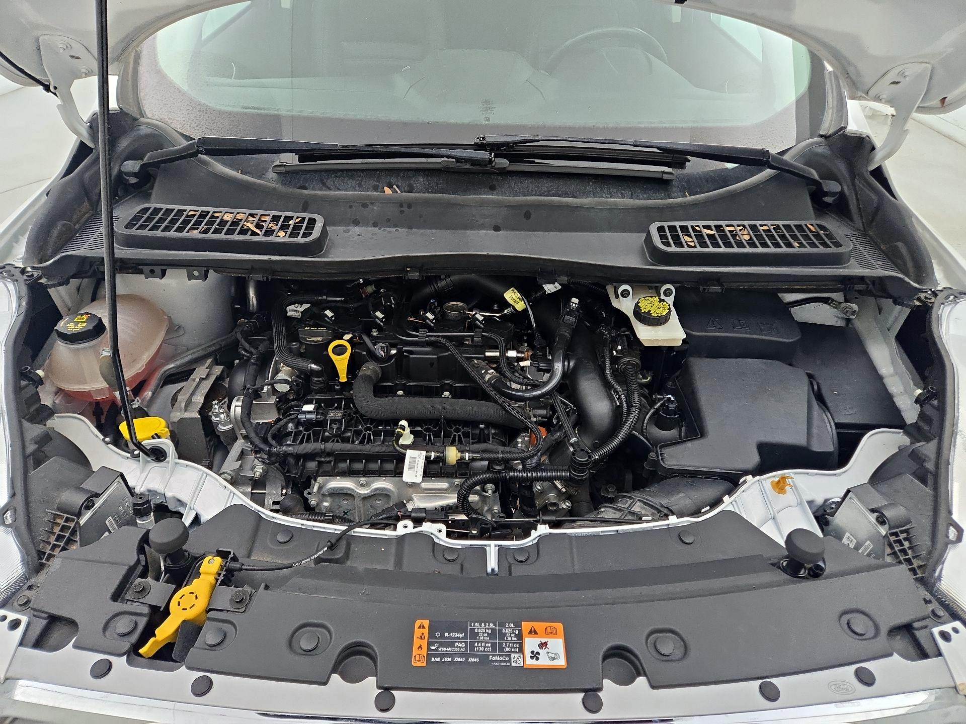 Thumbnail: 2019 Ford Escape - 20