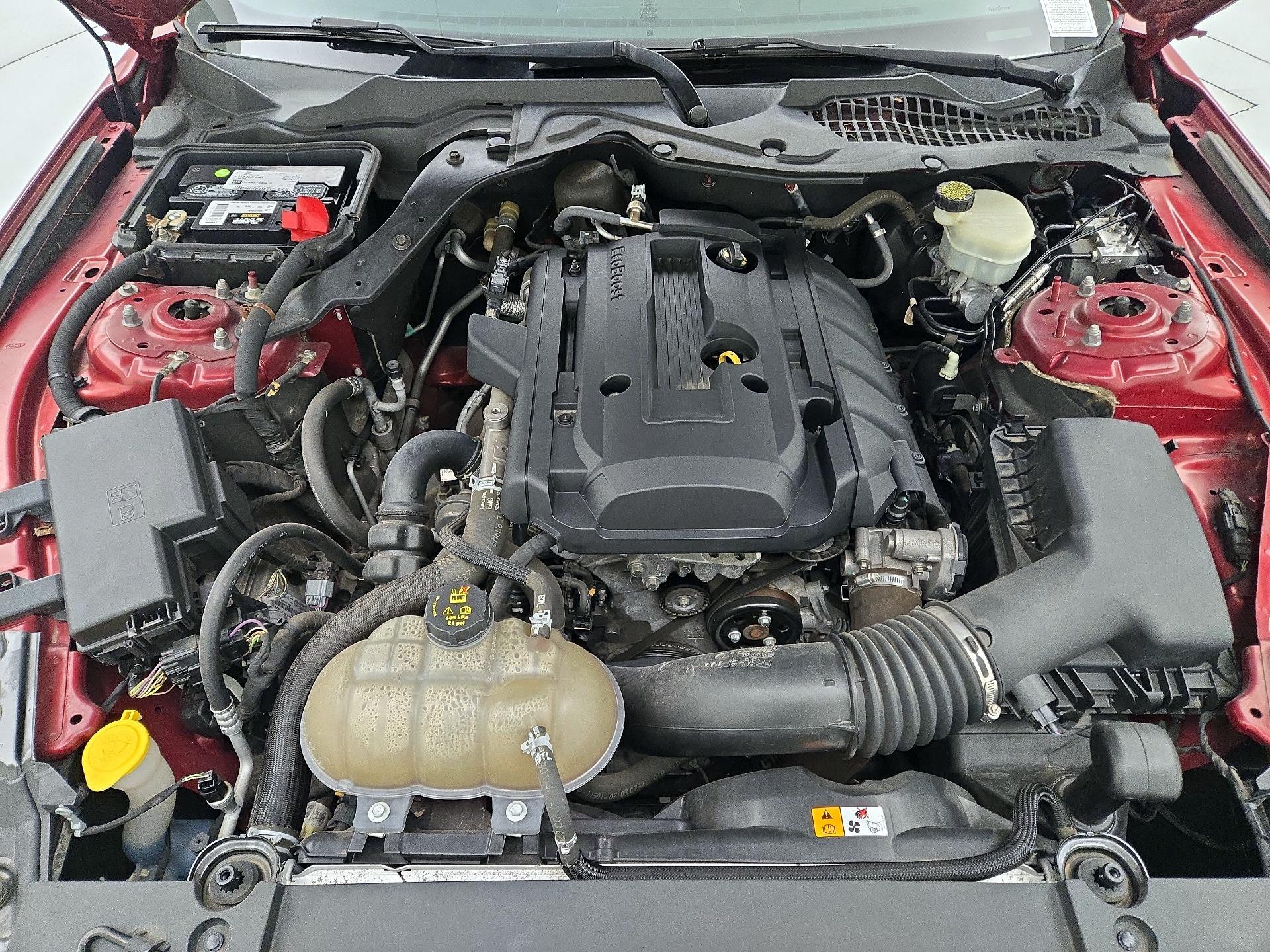 Thumbnail: 2016 Ford Mustang - 20