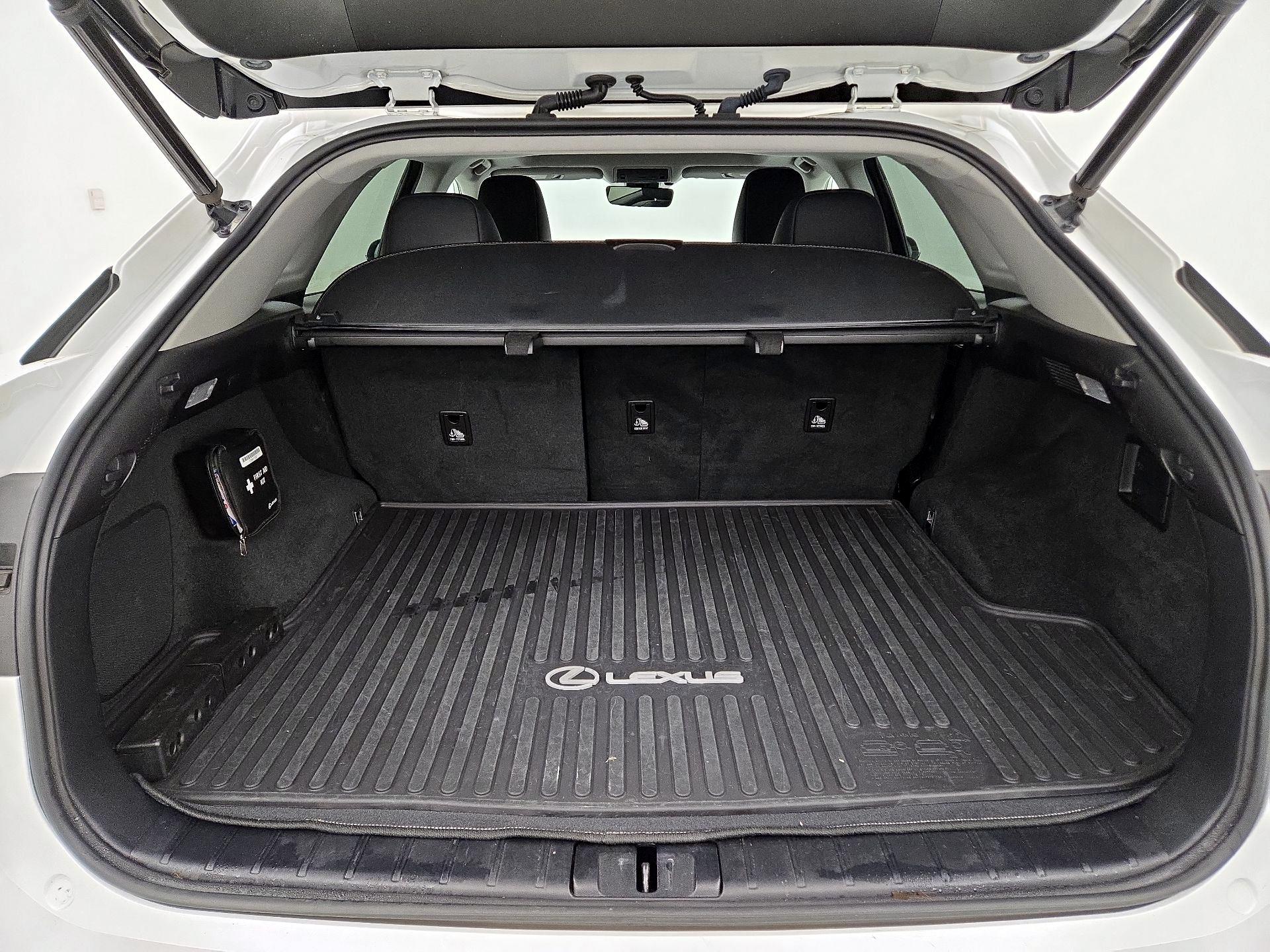 Thumbnail: 2019 Lexus RX - 19