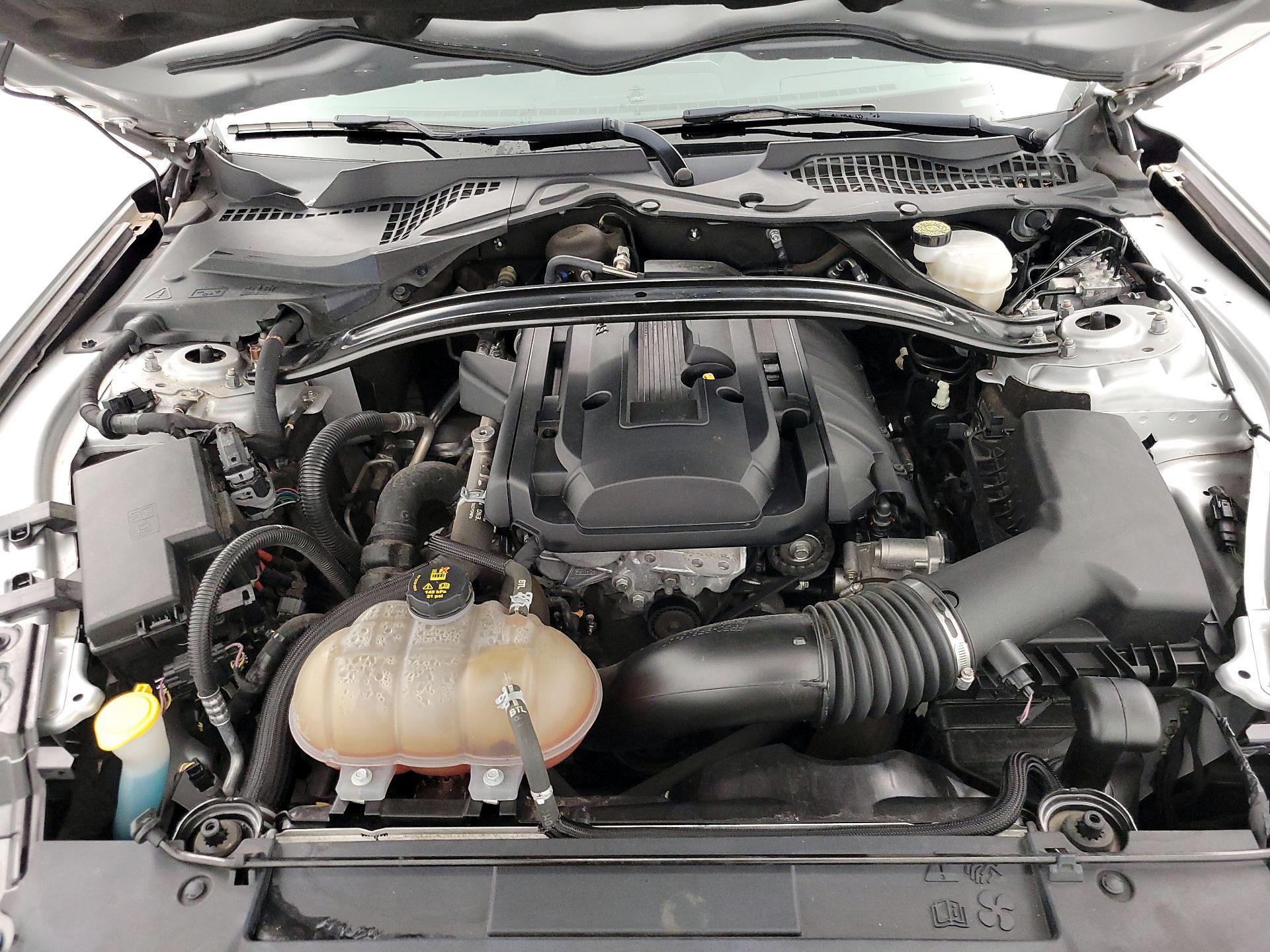 Thumbnail: 2019 Ford Mustang - 20