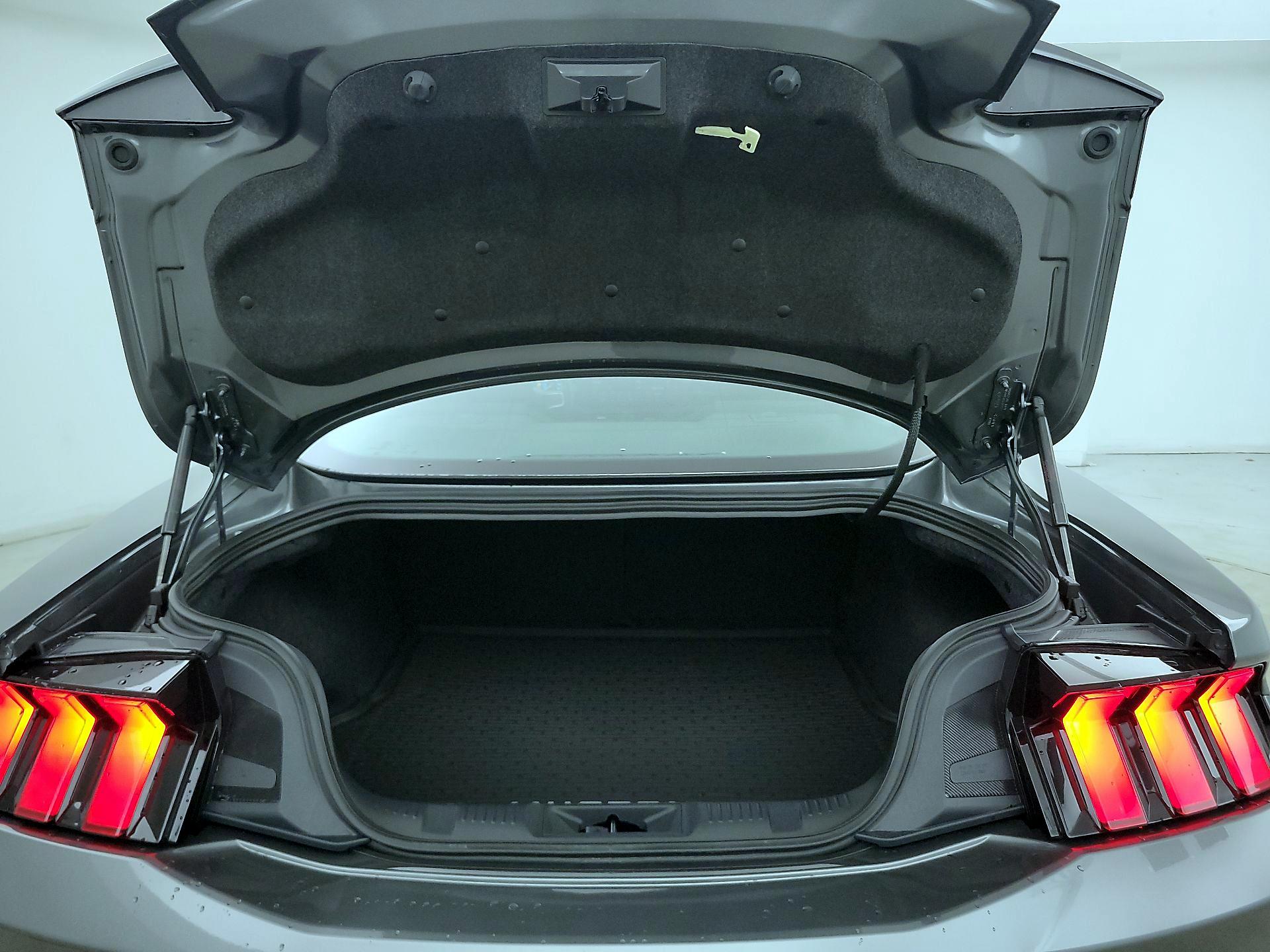 Thumbnail: 2025 Ford Mustang - 20