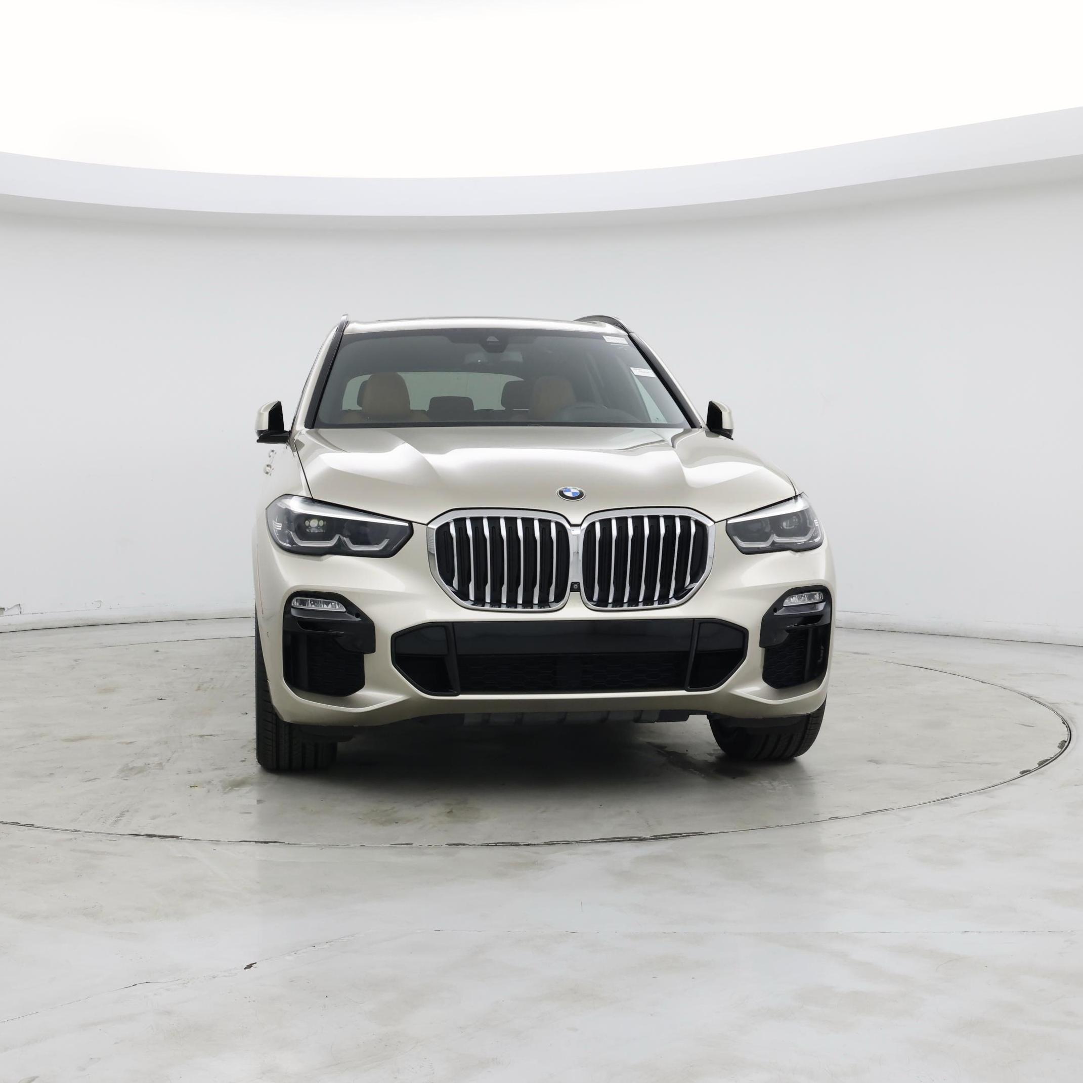 Thumbnail: 2019 BMW X5 - 5