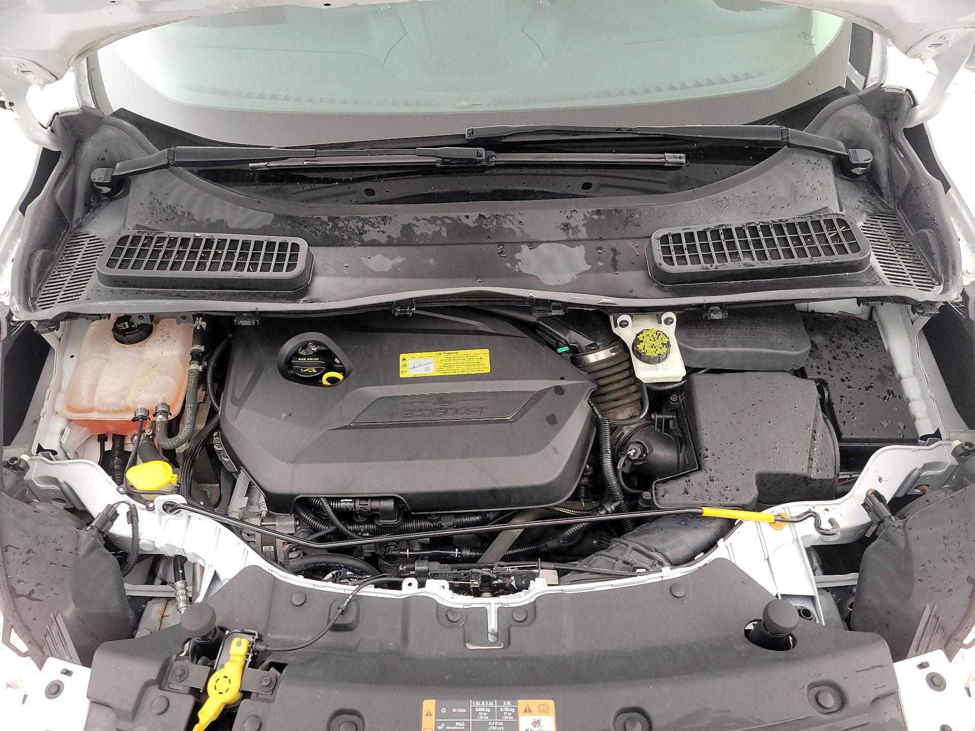 Thumbnail: 2014 Ford Escape - 20