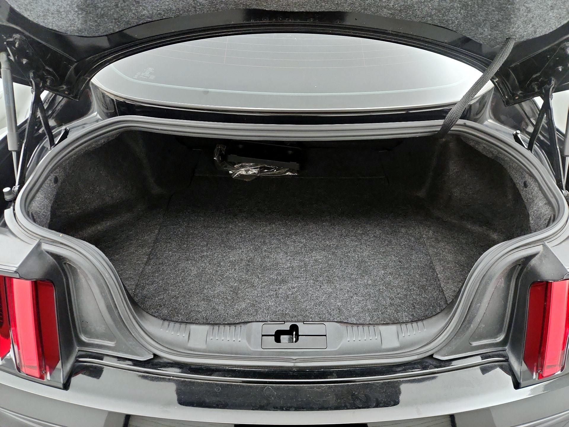 Thumbnail: 2016 Ford Mustang - 16