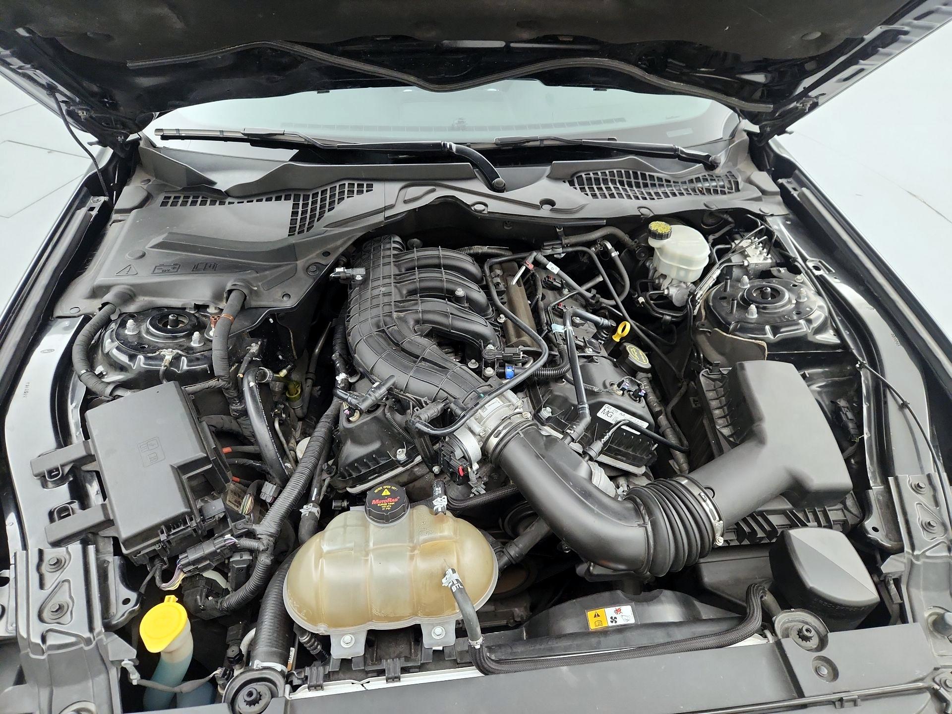 Thumbnail: 2016 Ford Mustang - 17