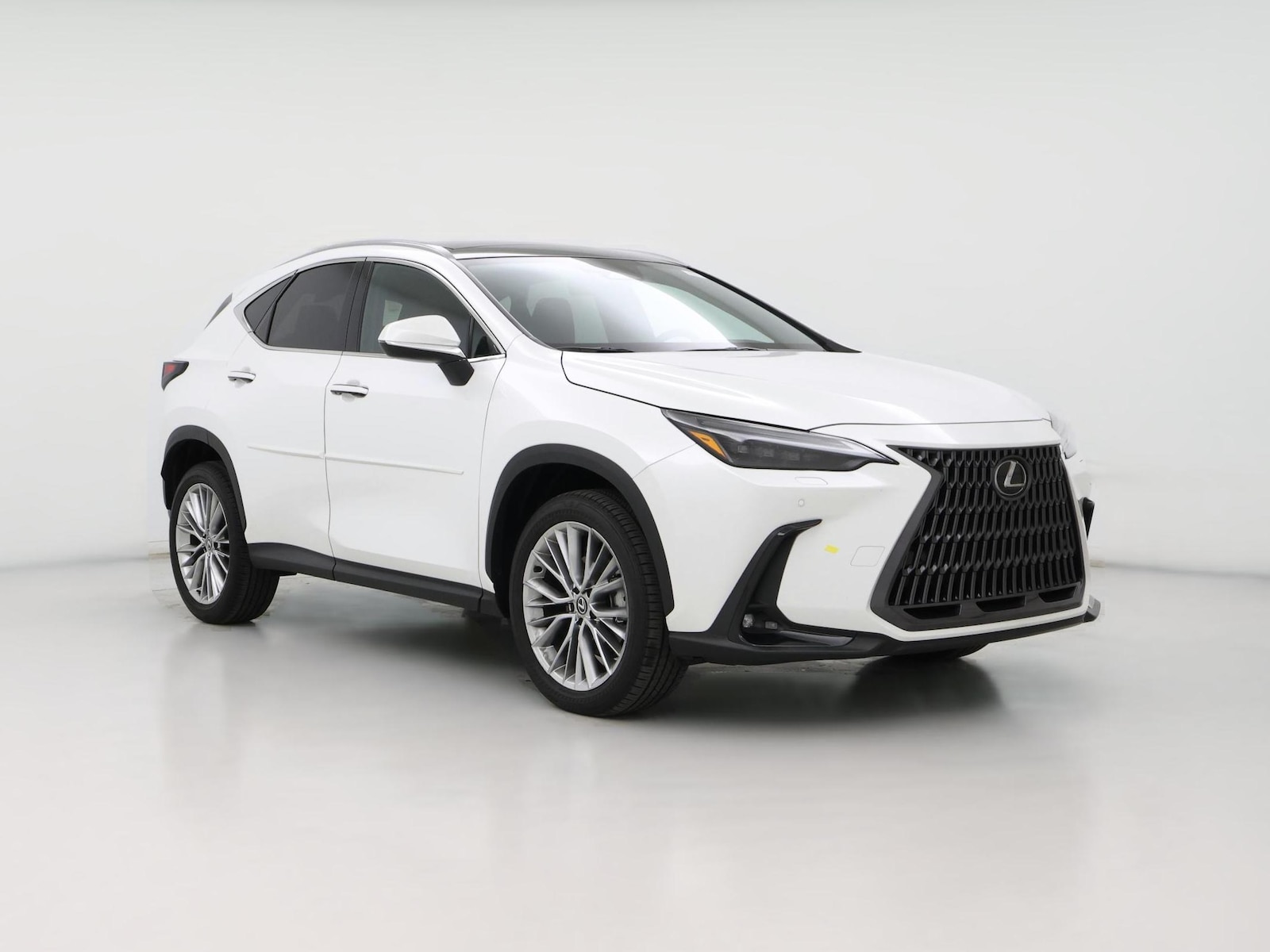 2024 Lexus NX