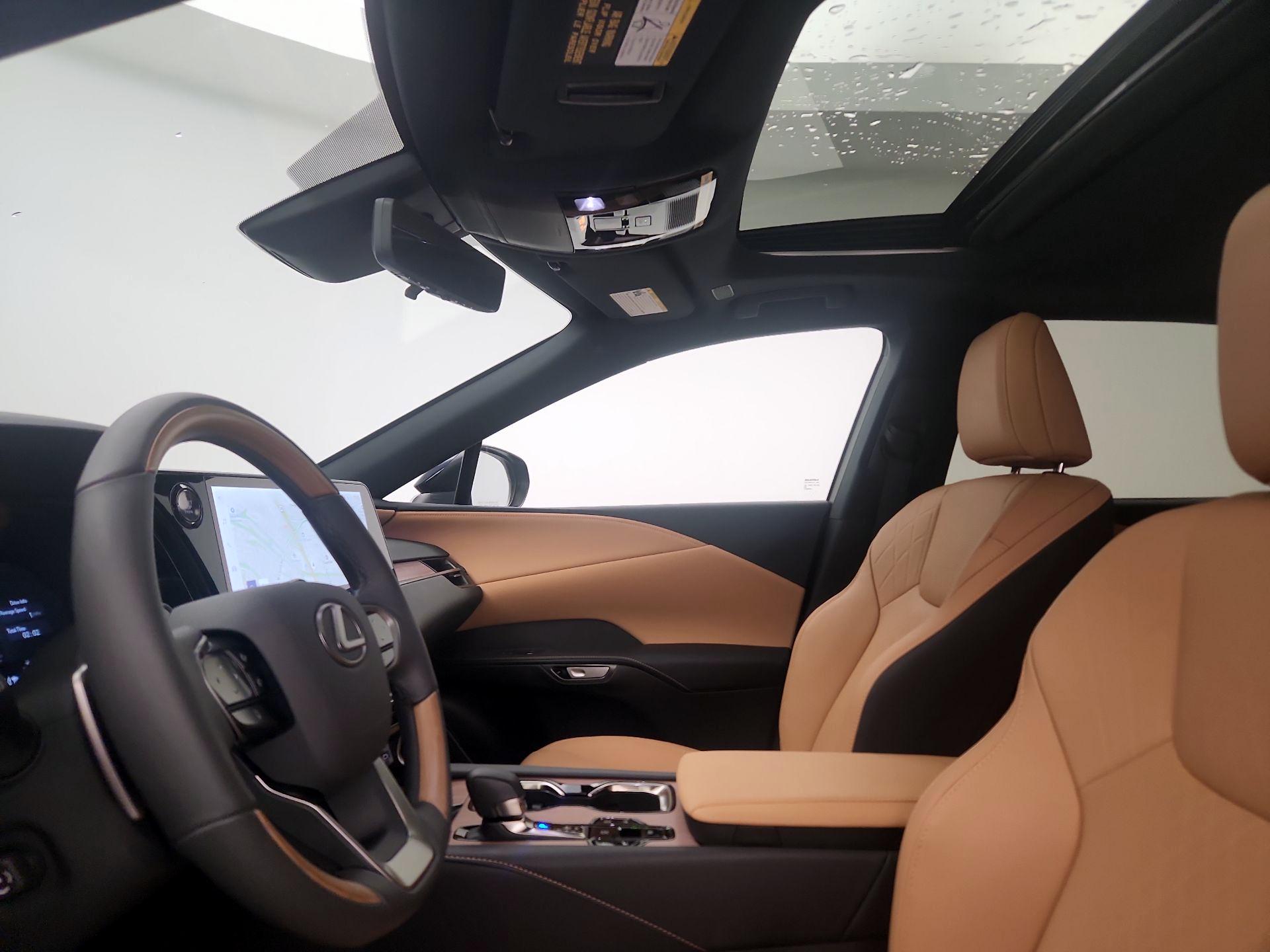 Thumbnail: 2025 Lexus RX - 20