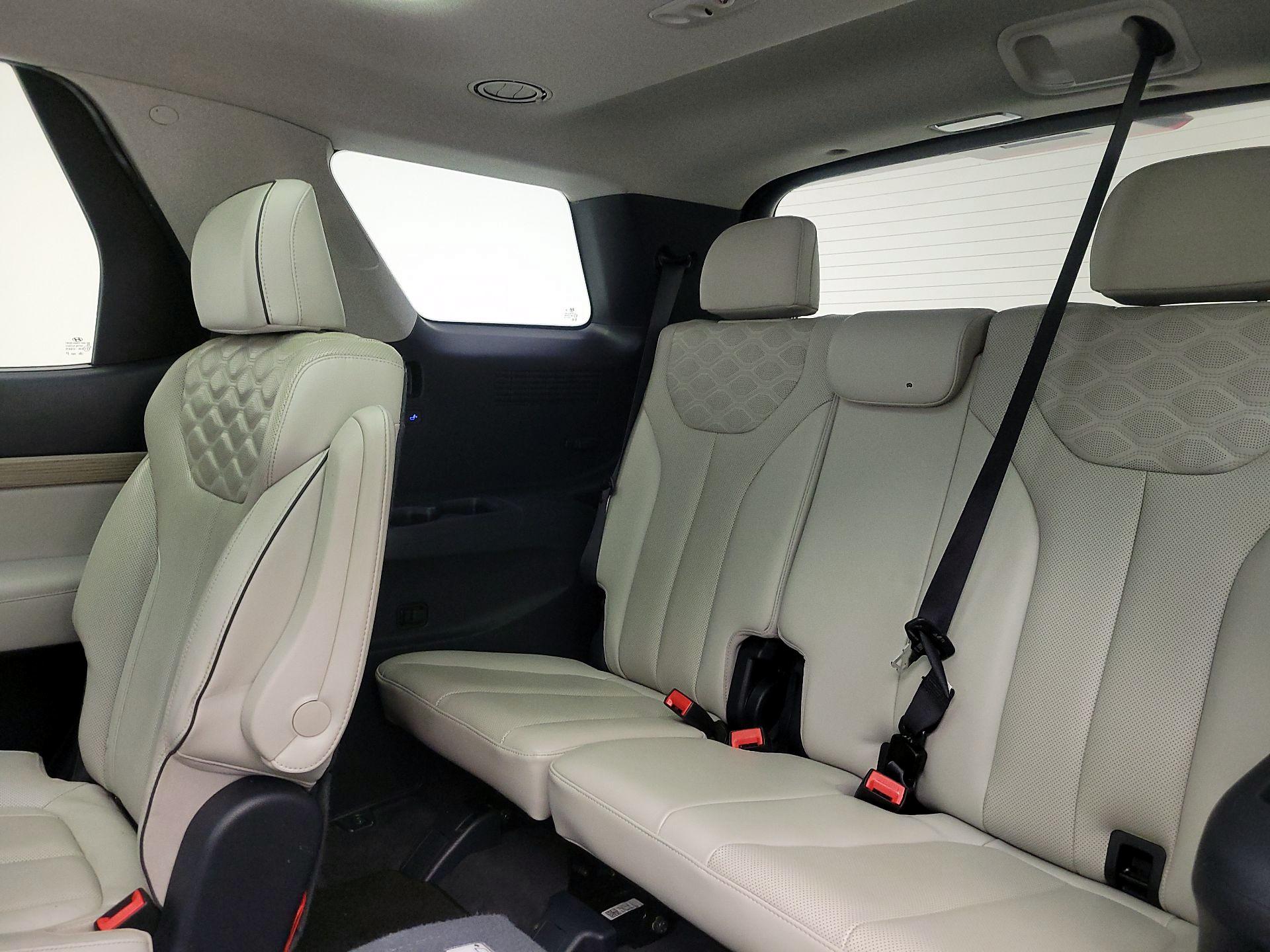 Thumbnail: 2021 Hyundai Palisade - 20