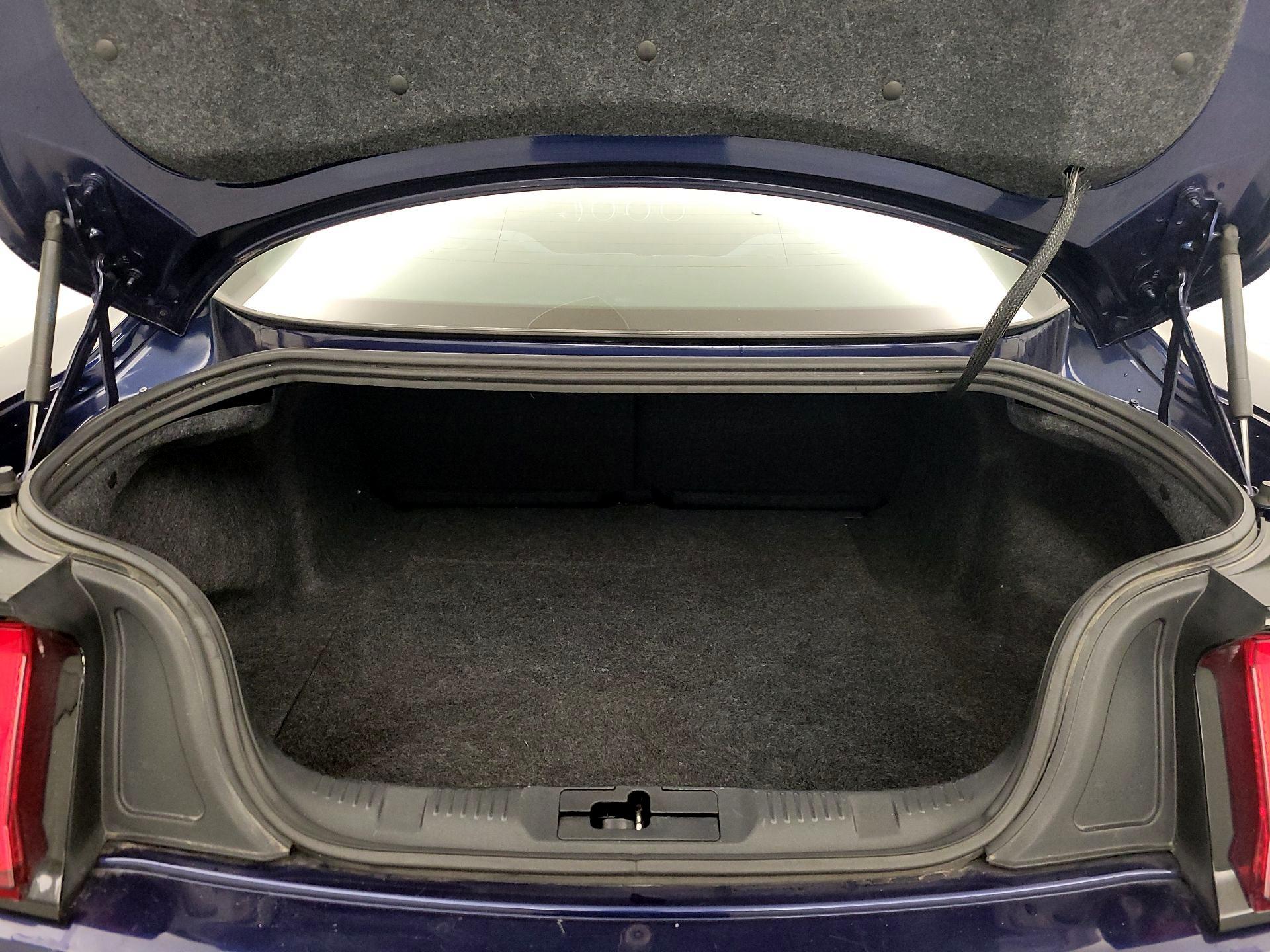 Thumbnail: 2019 Ford Mustang - 20