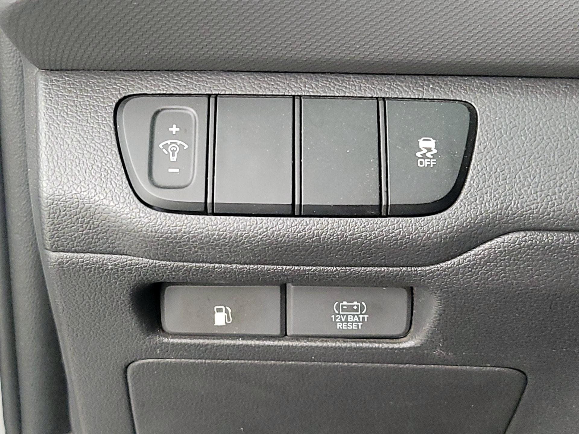 Thumbnail: 2019 Hyundai Ioniq - 13