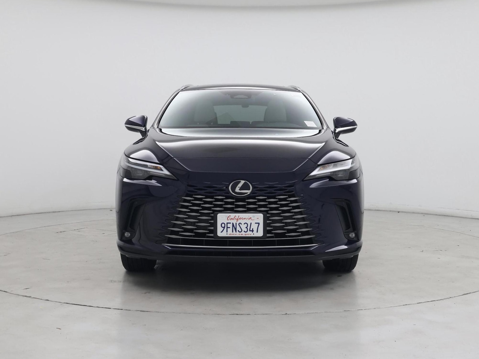2023 Lexus RX 350 - Photo 6