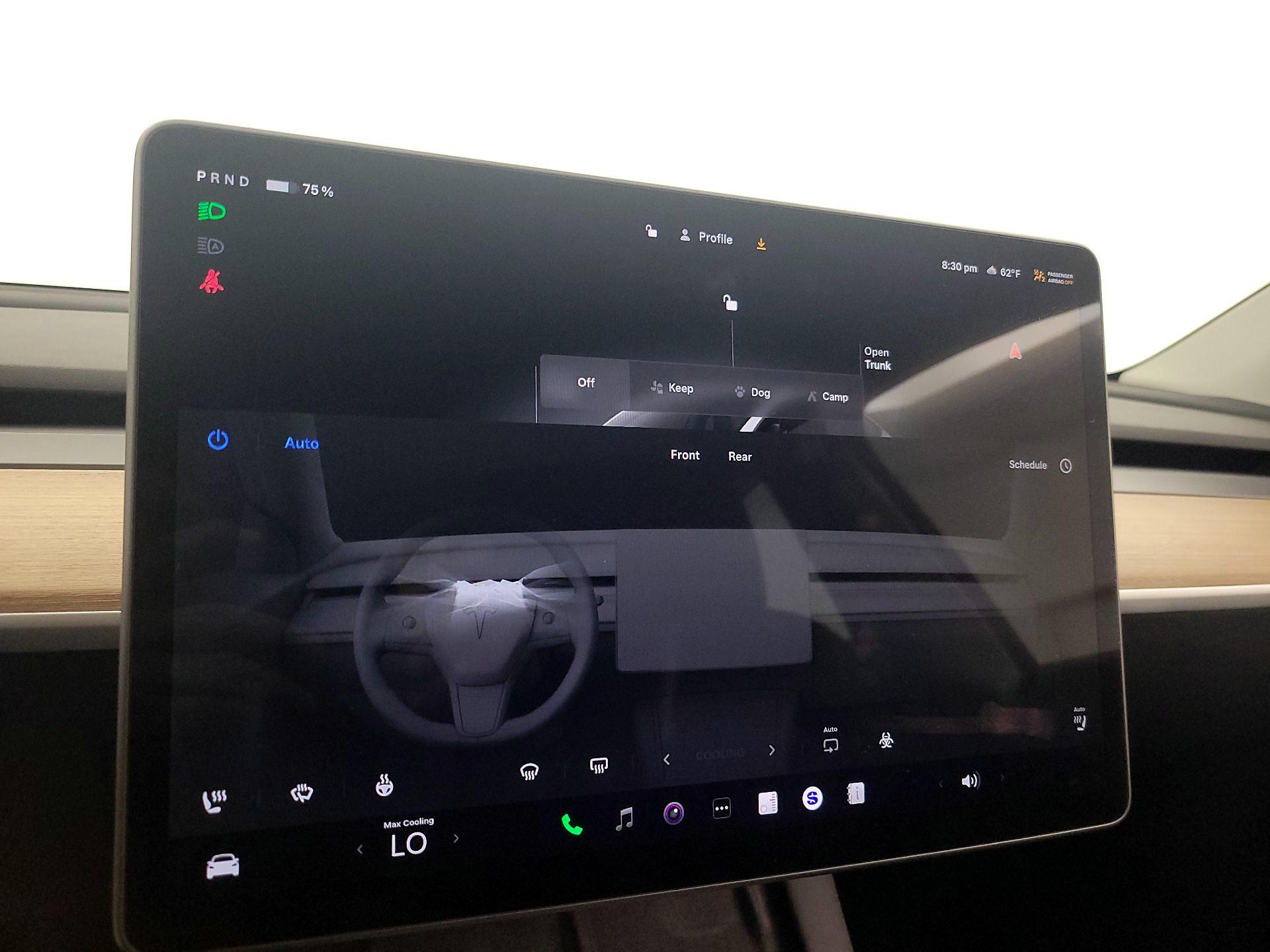 Thumbnail: 2023 Tesla Model Y - 16