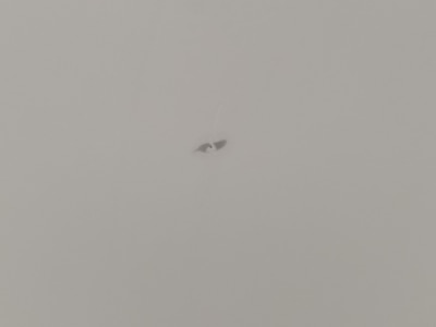Fender Driver Side Cosmetic Imperfection