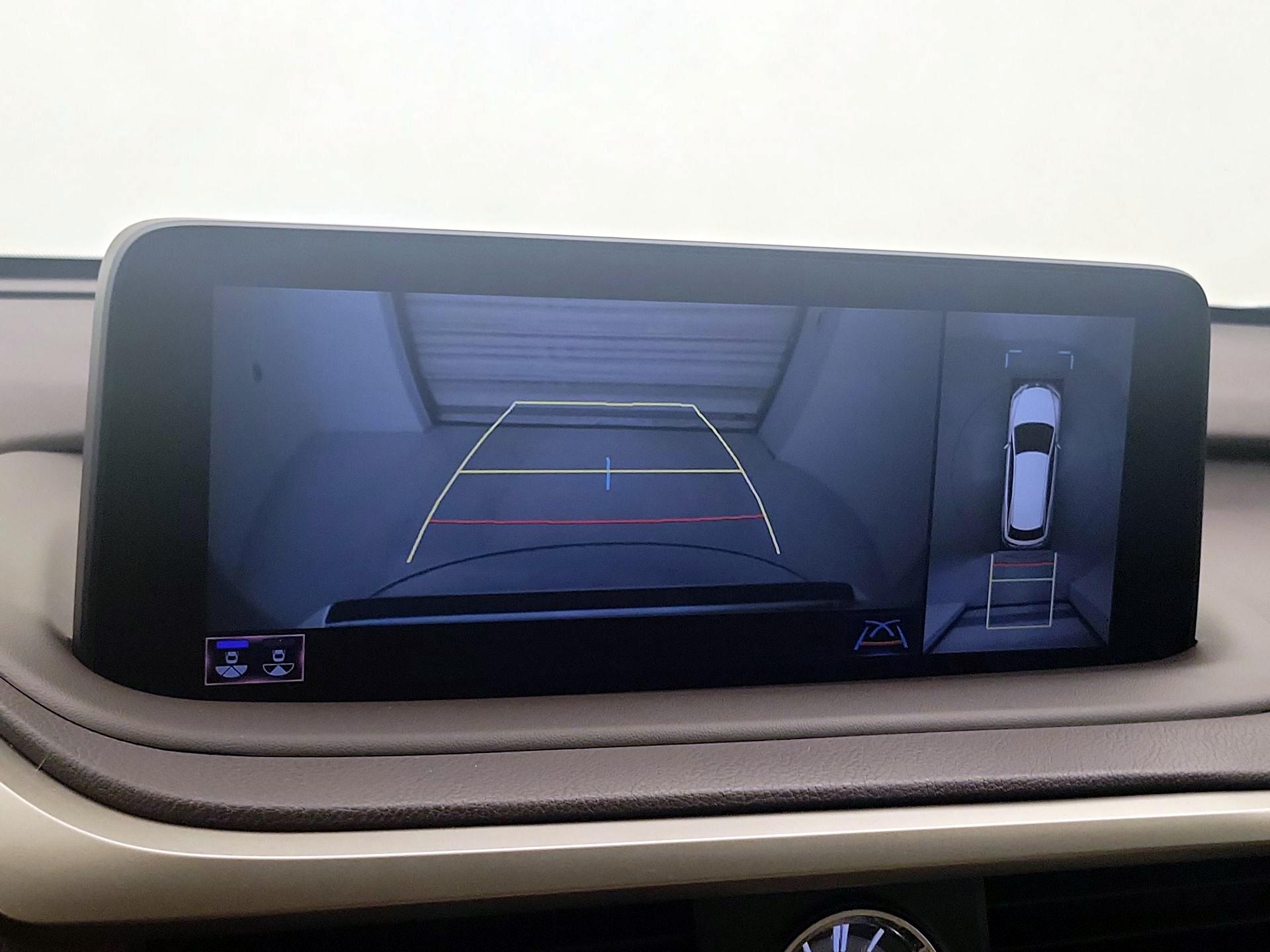 Thumbnail: 2020 Lexus RX - 15