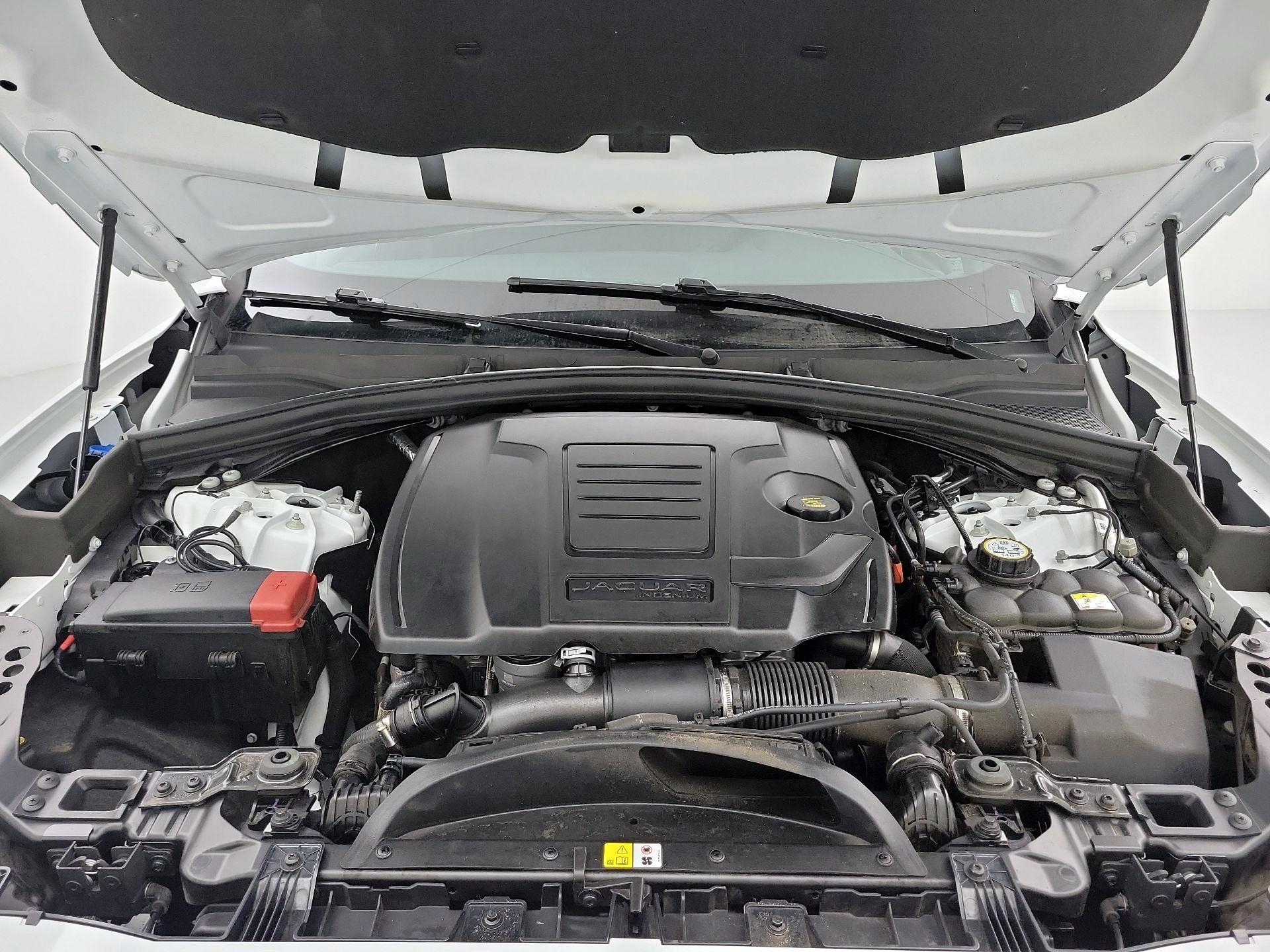 Thumbnail: 2024 Jaguar F-Pace - 20