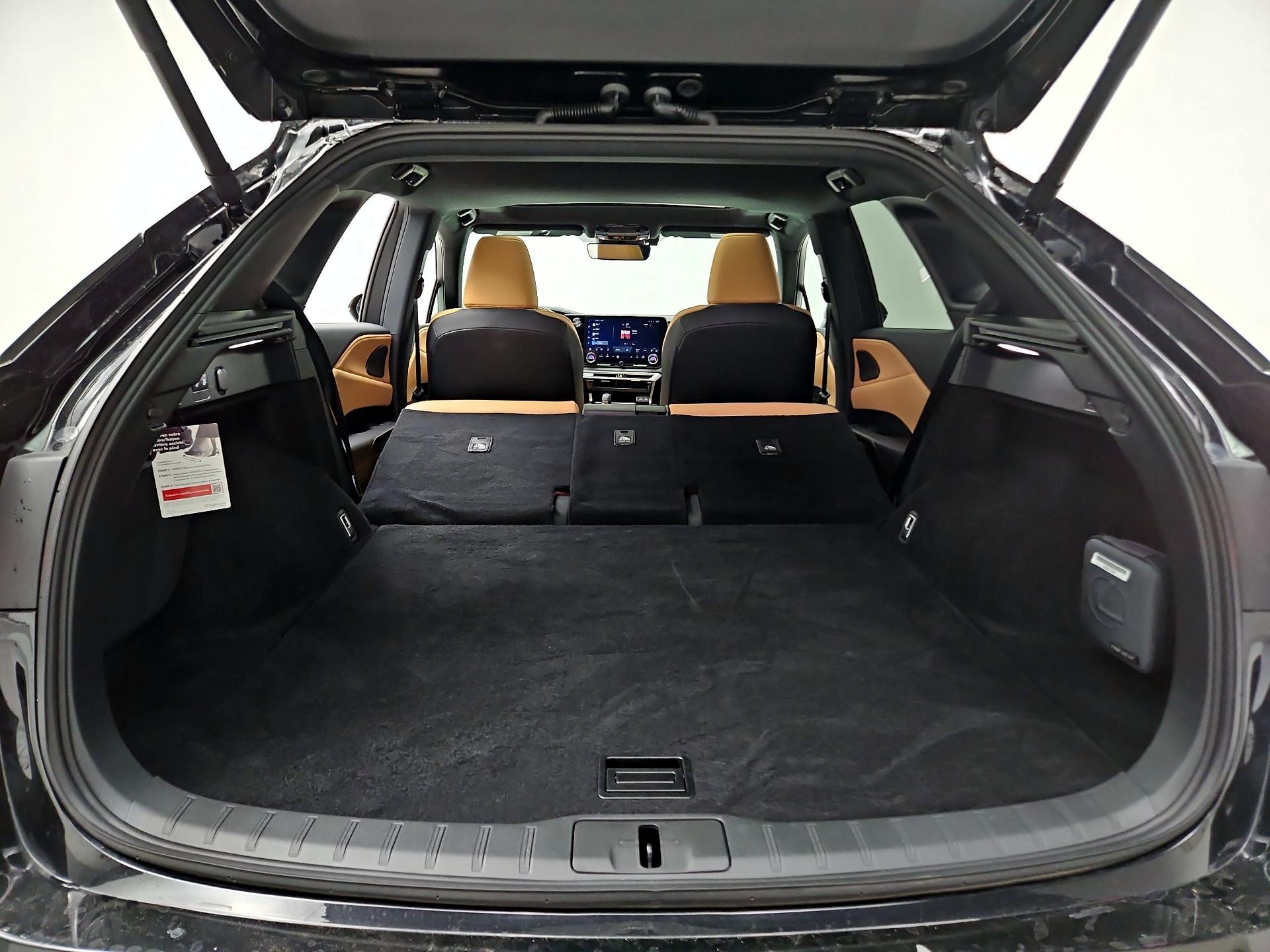 Thumbnail: 2025 Lexus RX - 20