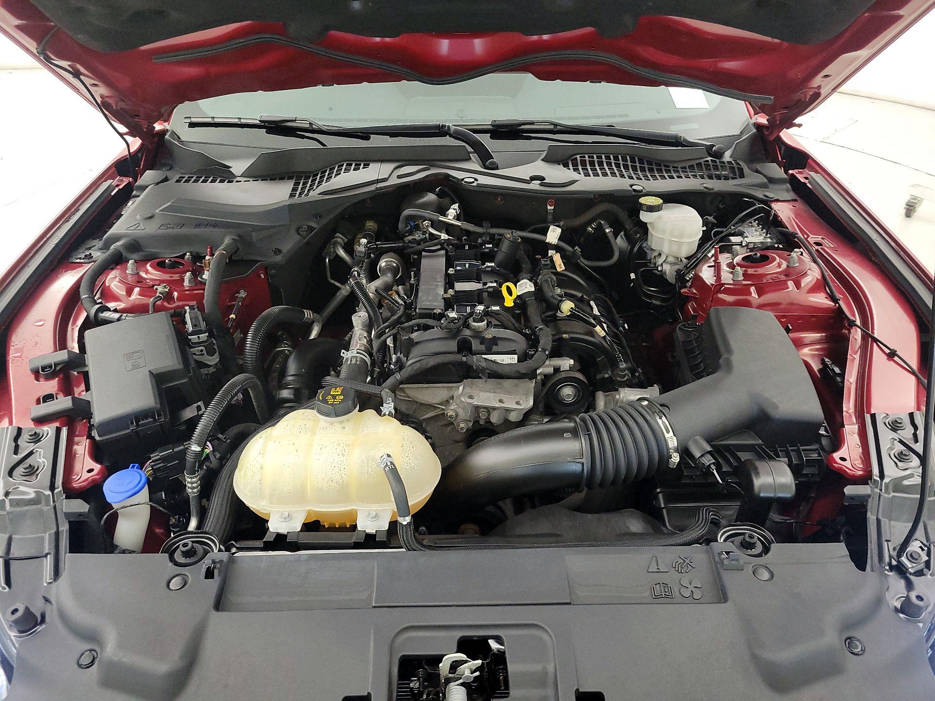 Thumbnail: 2021 Ford Mustang - 20