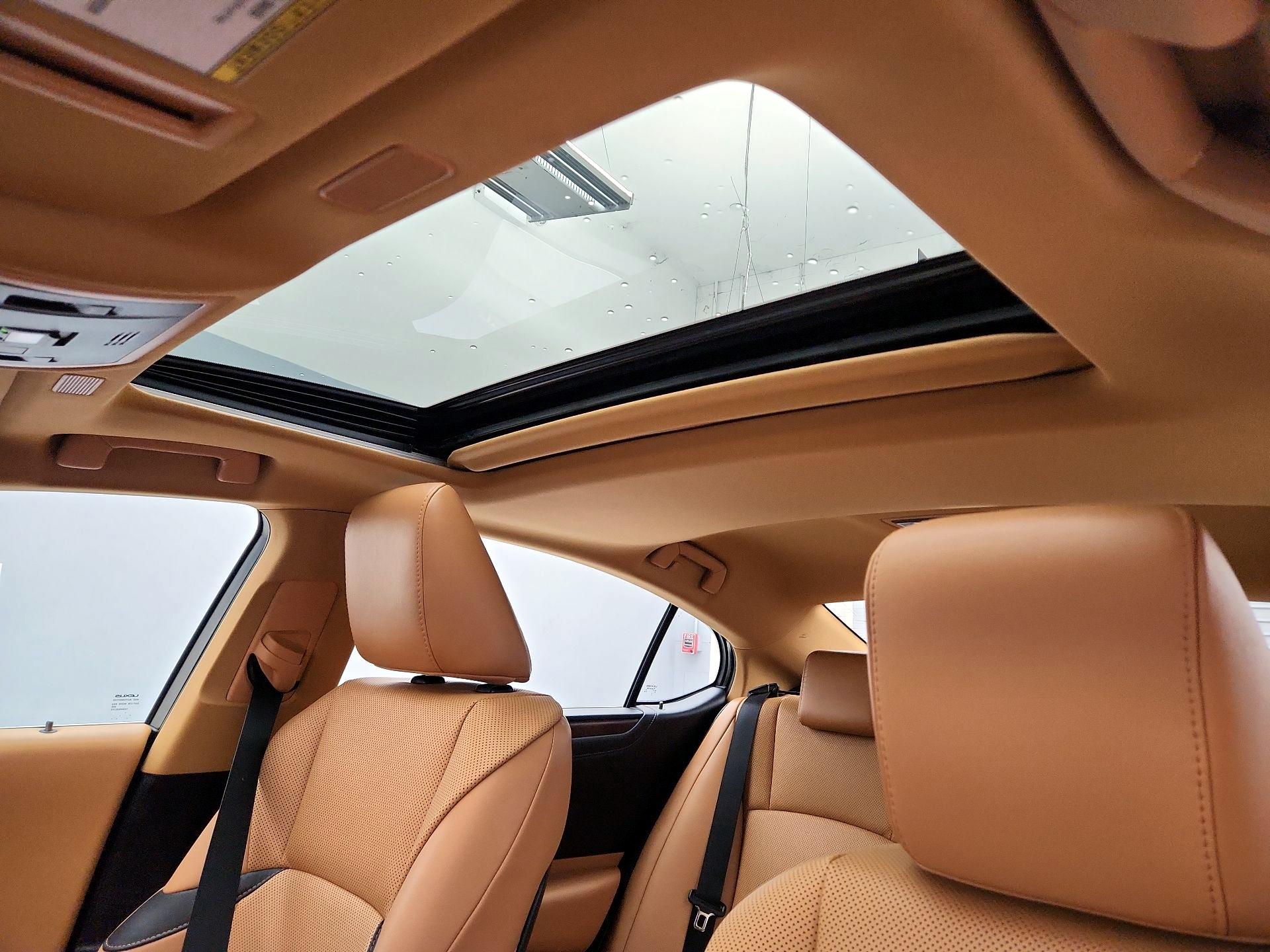 Thumbnail: 2022 Lexus ES - 19