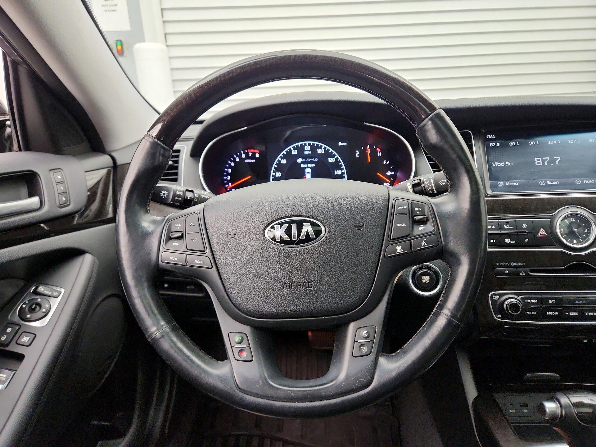 Thumbnail: 2014 Kia Cadenza - 10