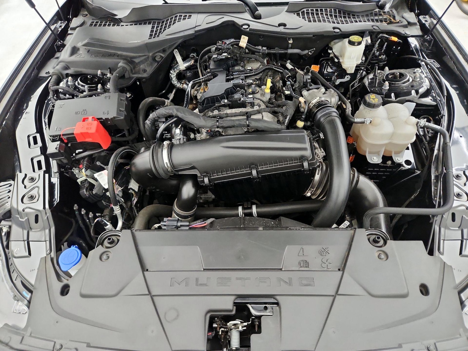 2024 Ford Mustang EcoBoost - Photo 22