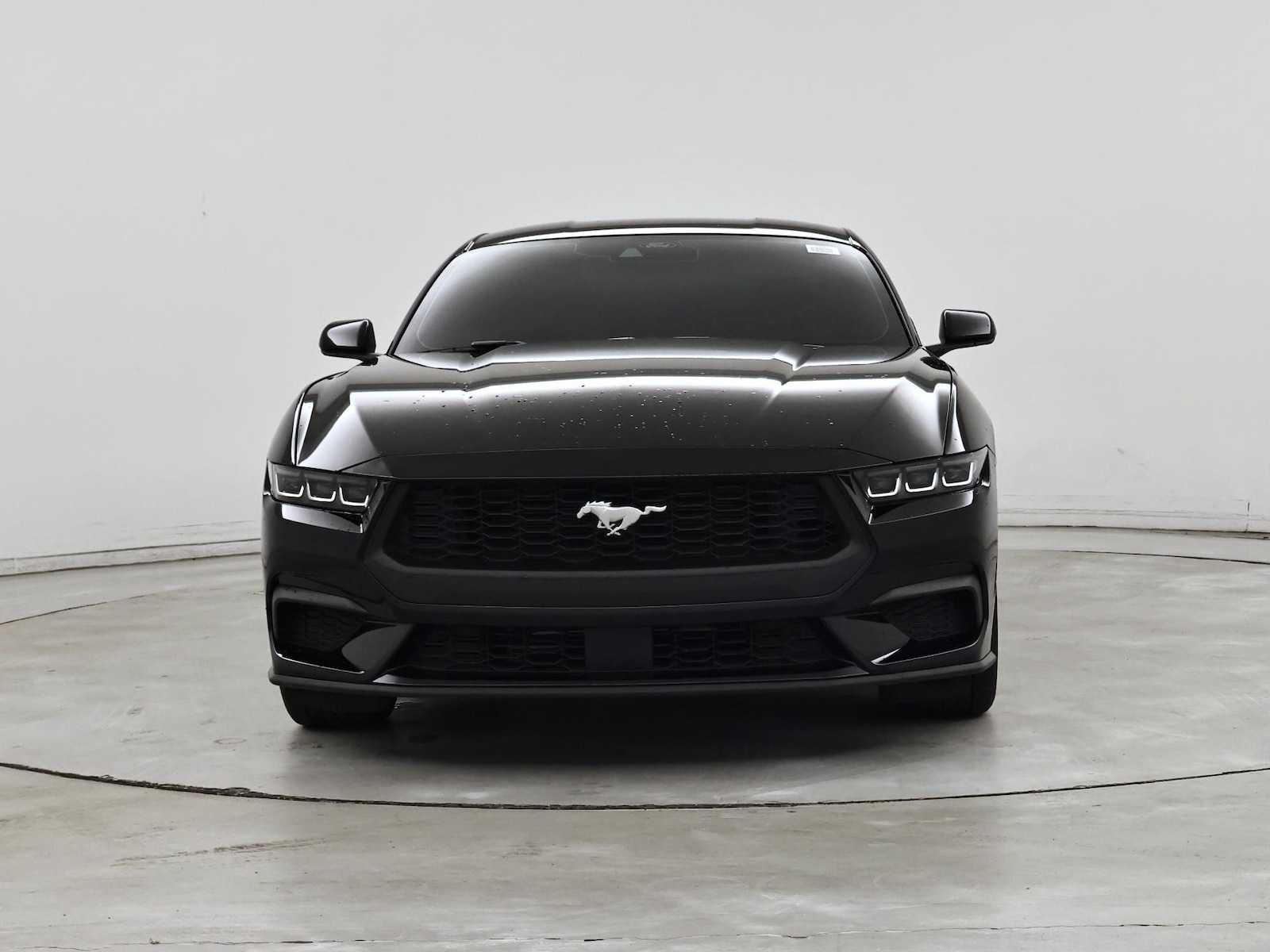 2024 Ford Mustang EcoBoost - Photo 6
