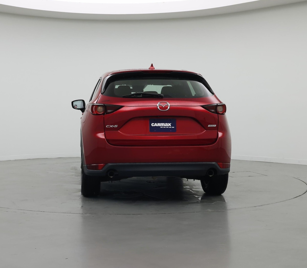 Rear
