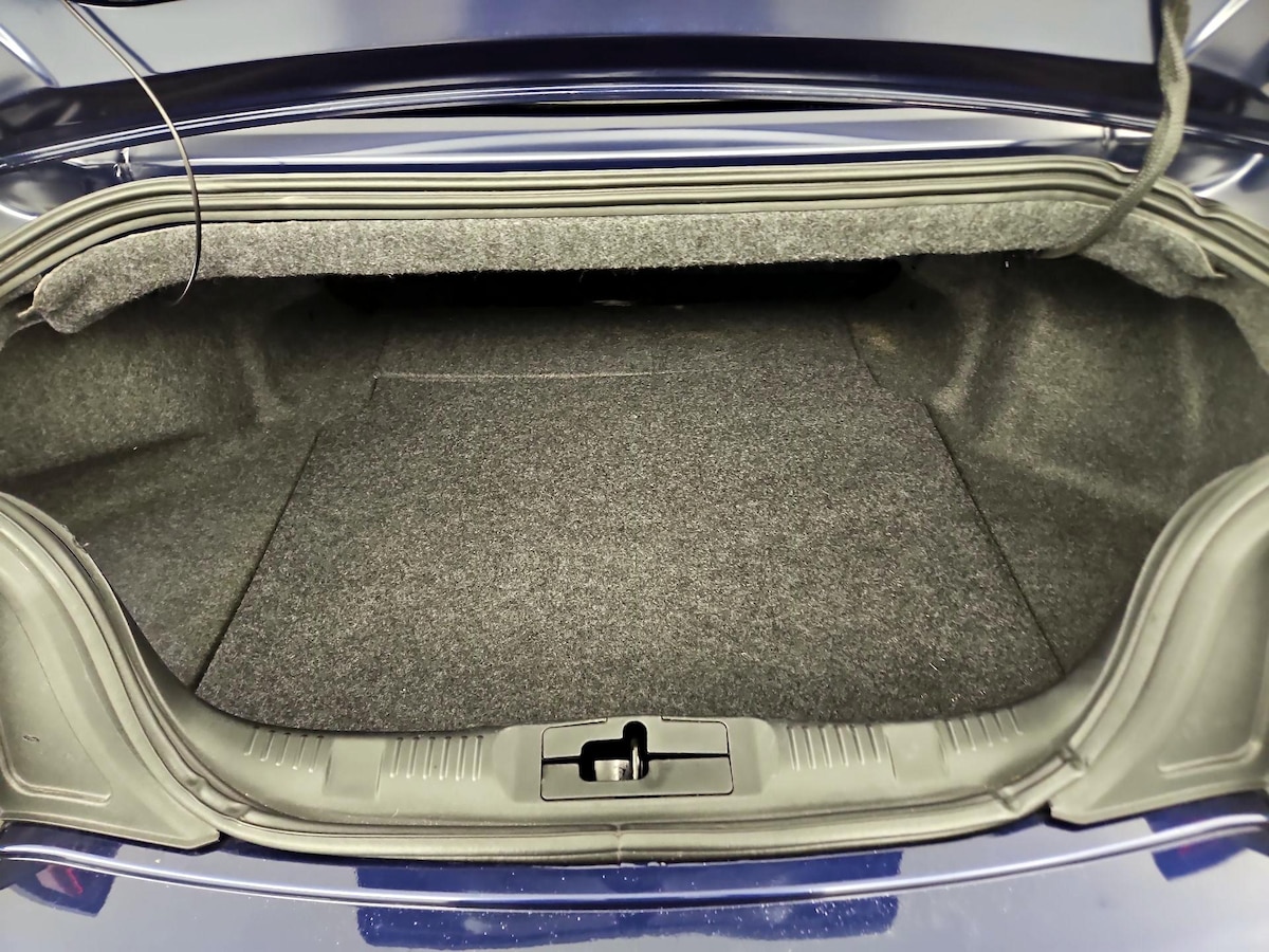 Trunk/Cargo (Seats Up)