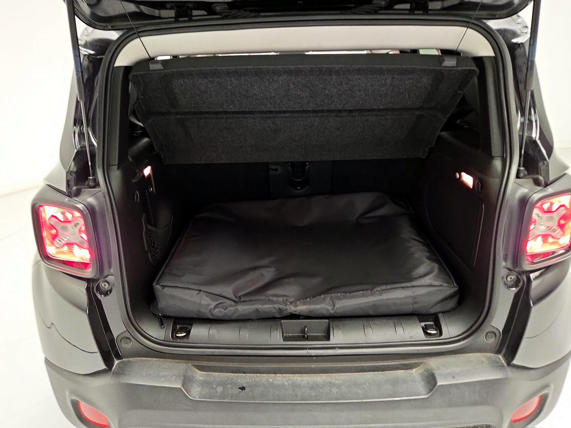 Thumbnail: 2016 Jeep Renegade - 20