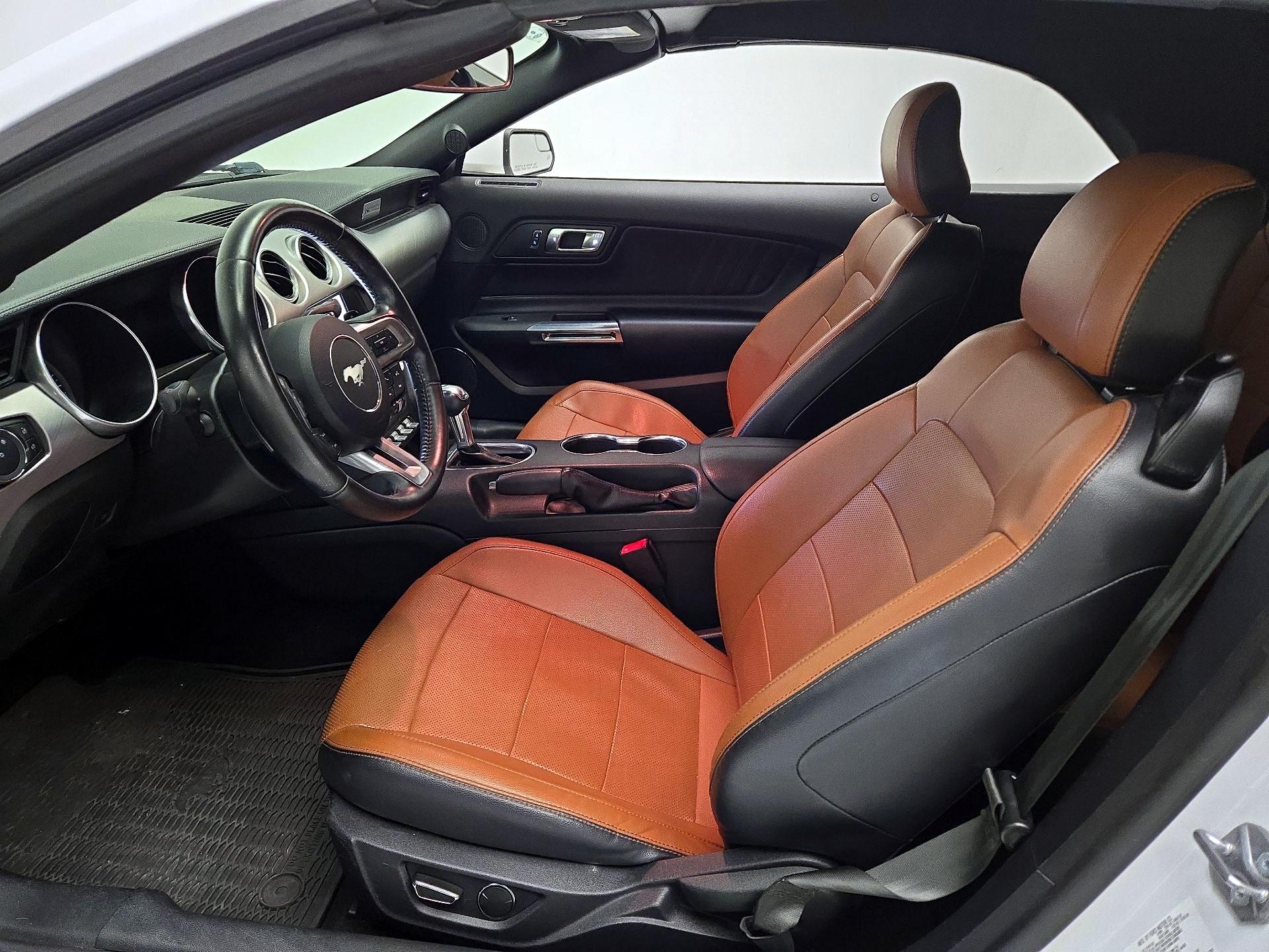 Thumbnail: 2019 Ford Mustang - 11