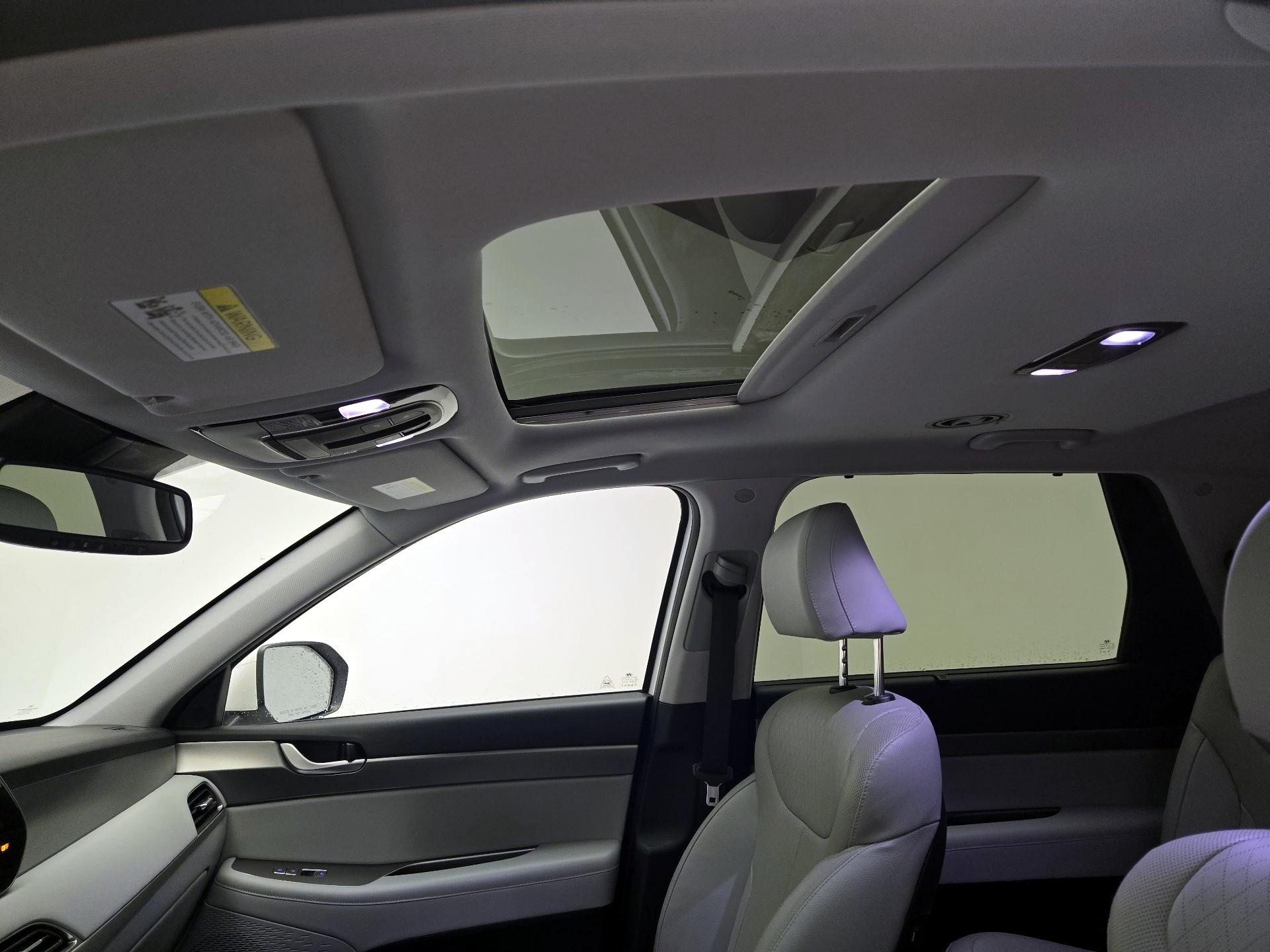 Thumbnail: 2020 Hyundai Palisade - 19