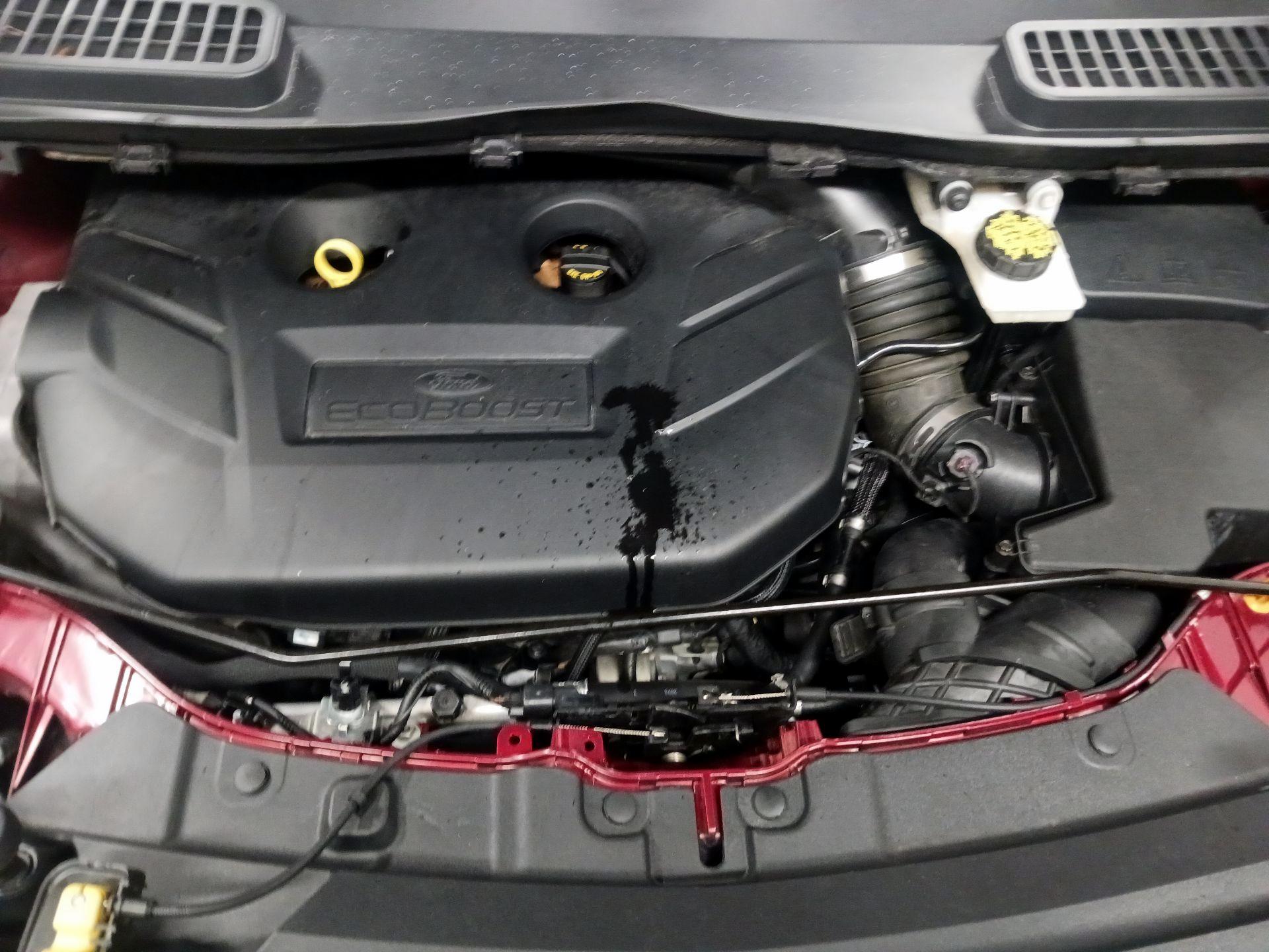 Thumbnail: 2019 Ford Escape - 15