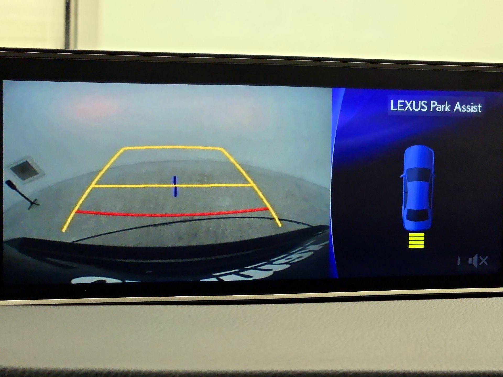 Thumbnail: 2019 Lexus RX - 15