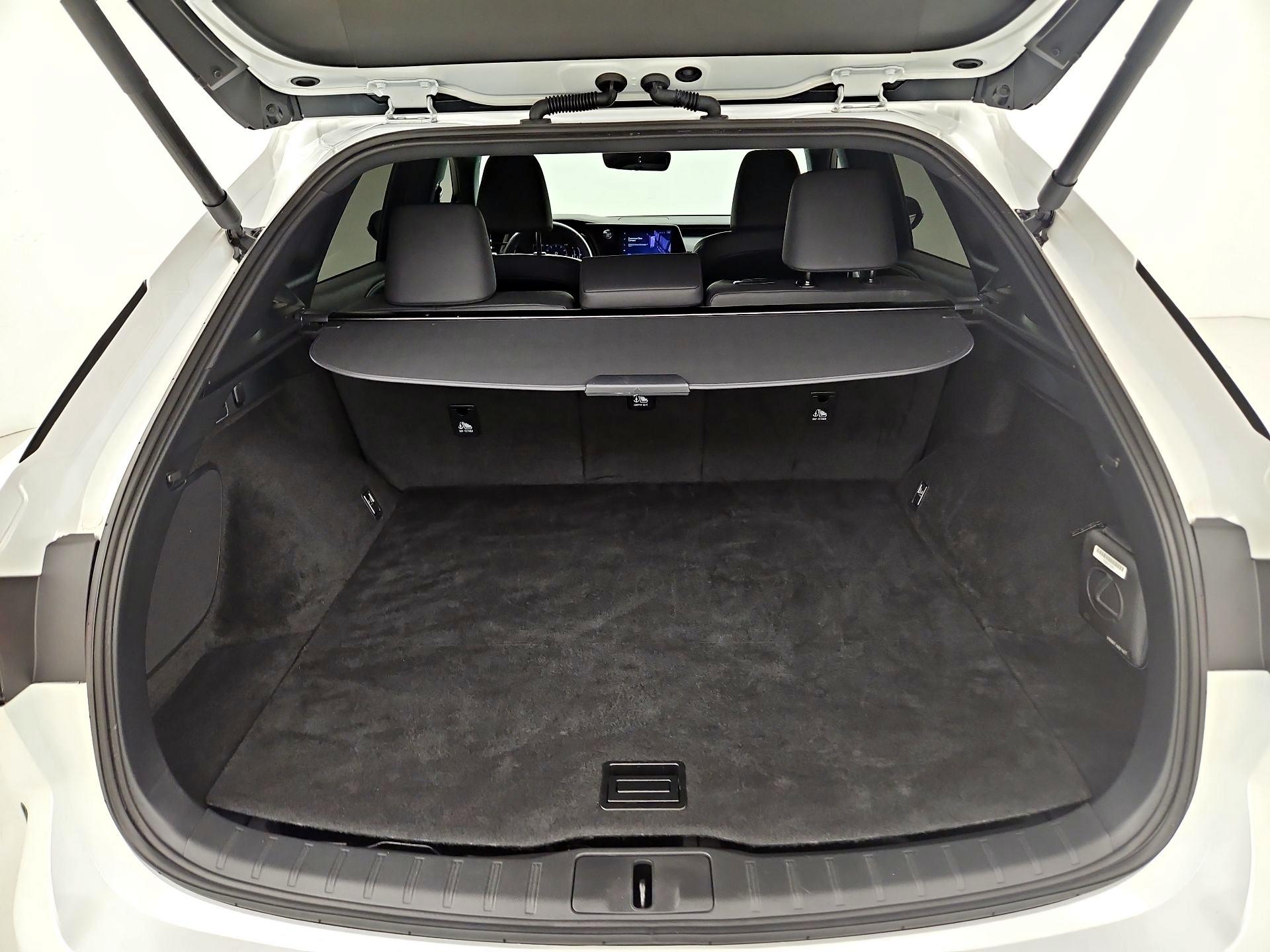 Thumbnail: 2024 Lexus RX - 20