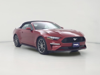 2019 Ford Mustang Ecoboost
